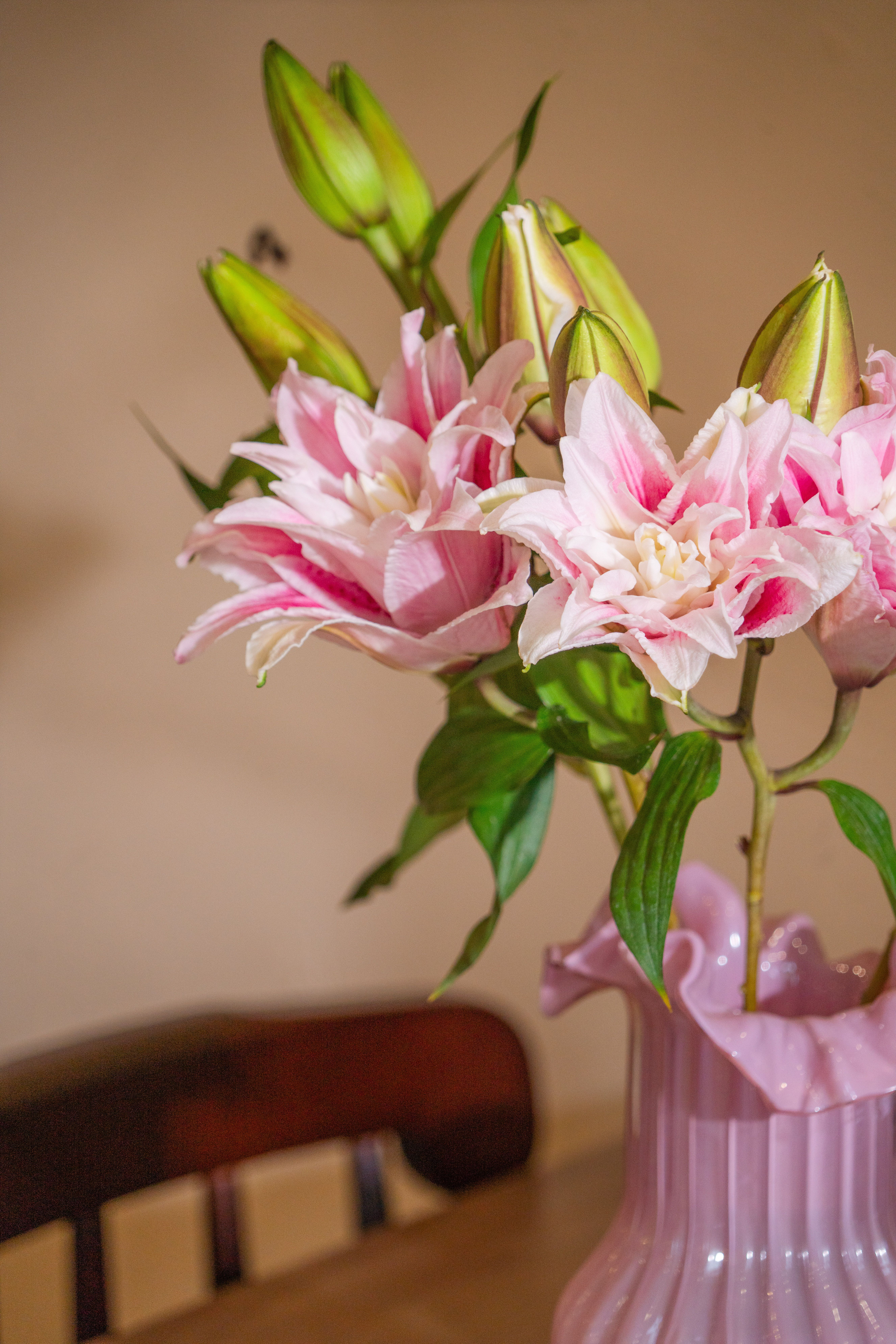 [ColoSach]-delicate-pink-lilies-in-a-pink-vase-capture-the-essence-of-indoor-floral-elegance.