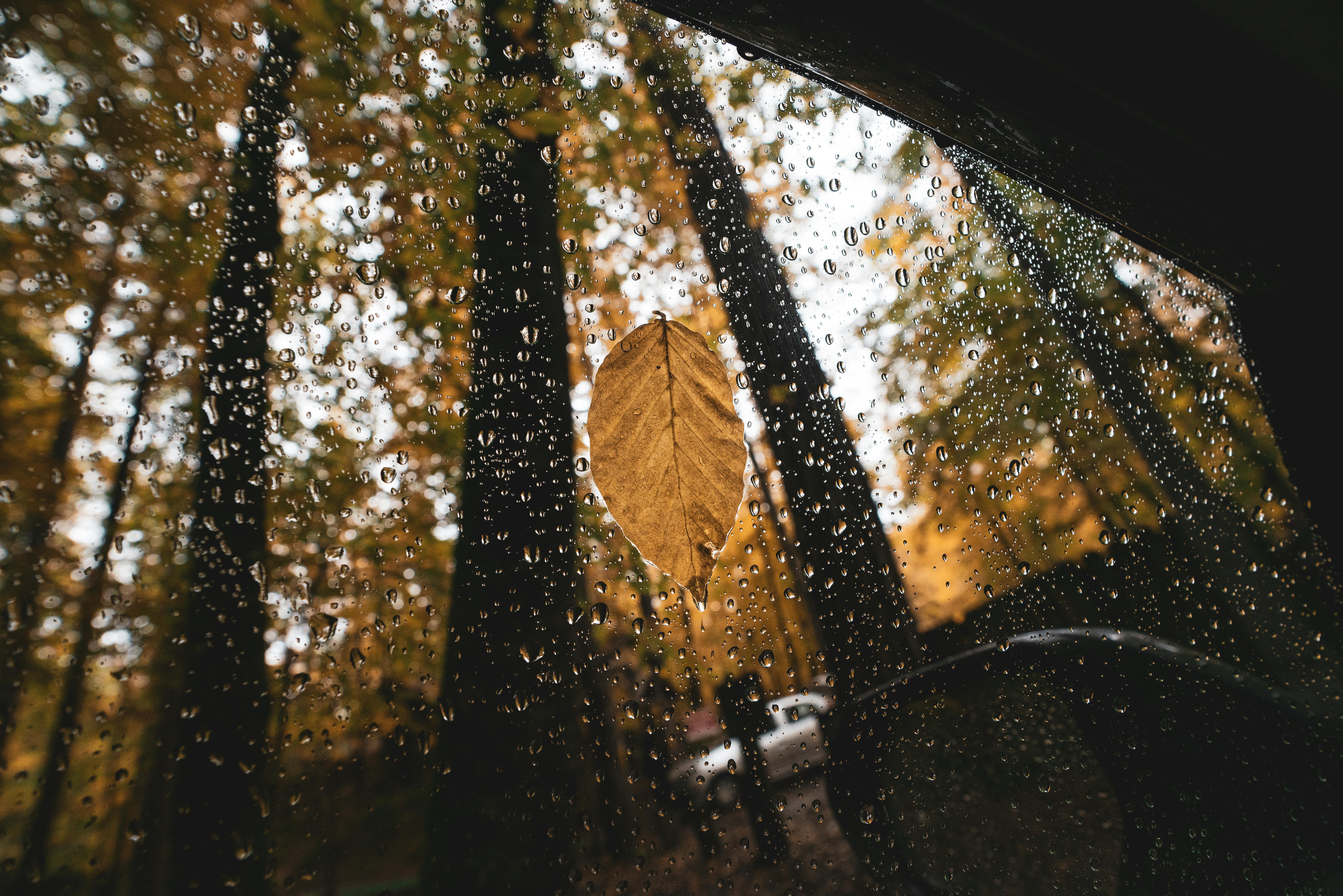 生活：颱風外圍環流影響花東山區 防範超大豪雨災情