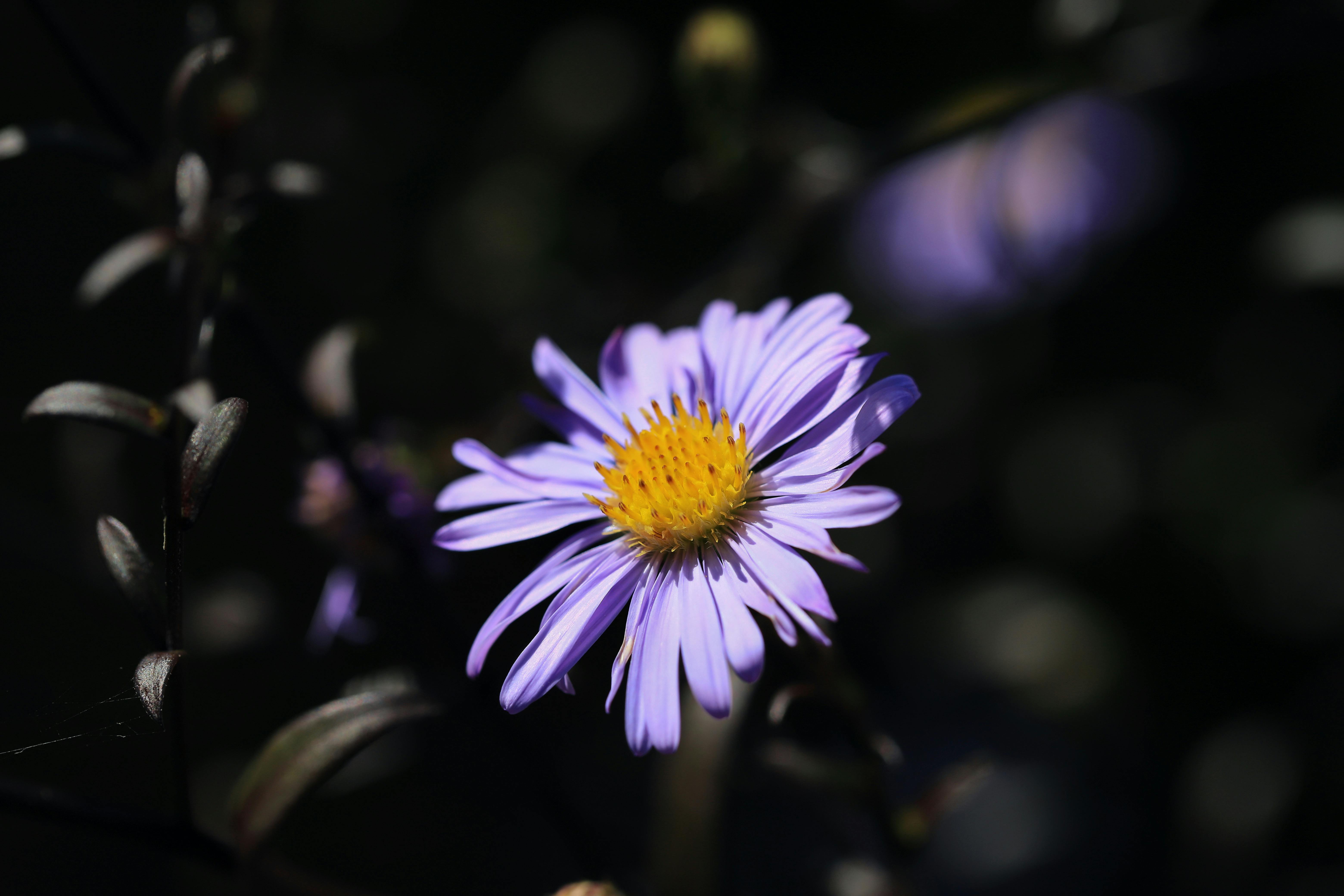 生活：擺脫長女病，打破代代相傳的心理枷鎖