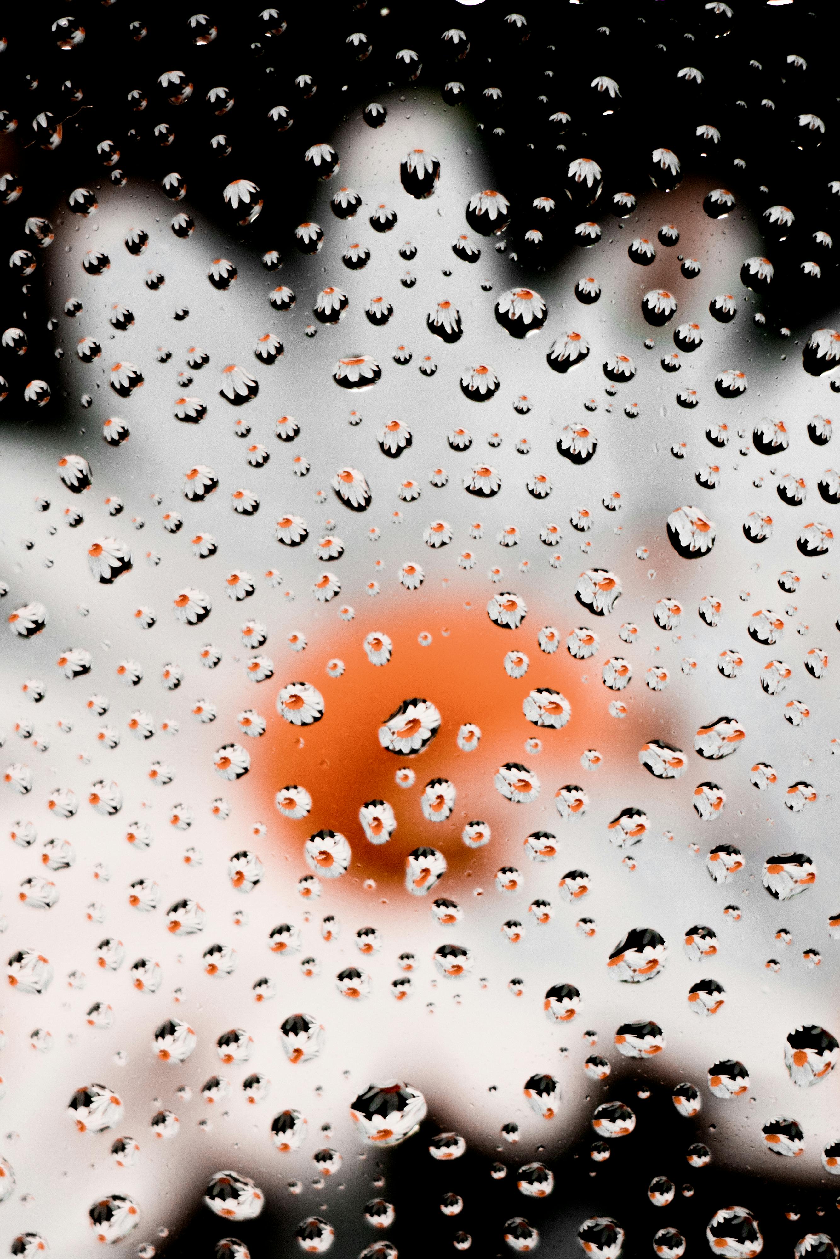 Close-up of water droplets on glass capturing a reflected daisy flower.