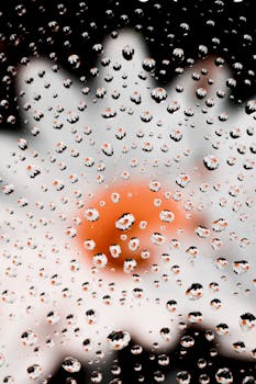 Close-up of water droplets on glass capturing a reflected daisy flower.