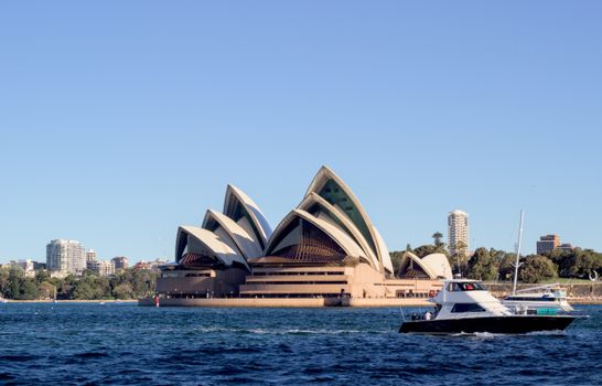 Darling Harbour seafood lunch — Sydney