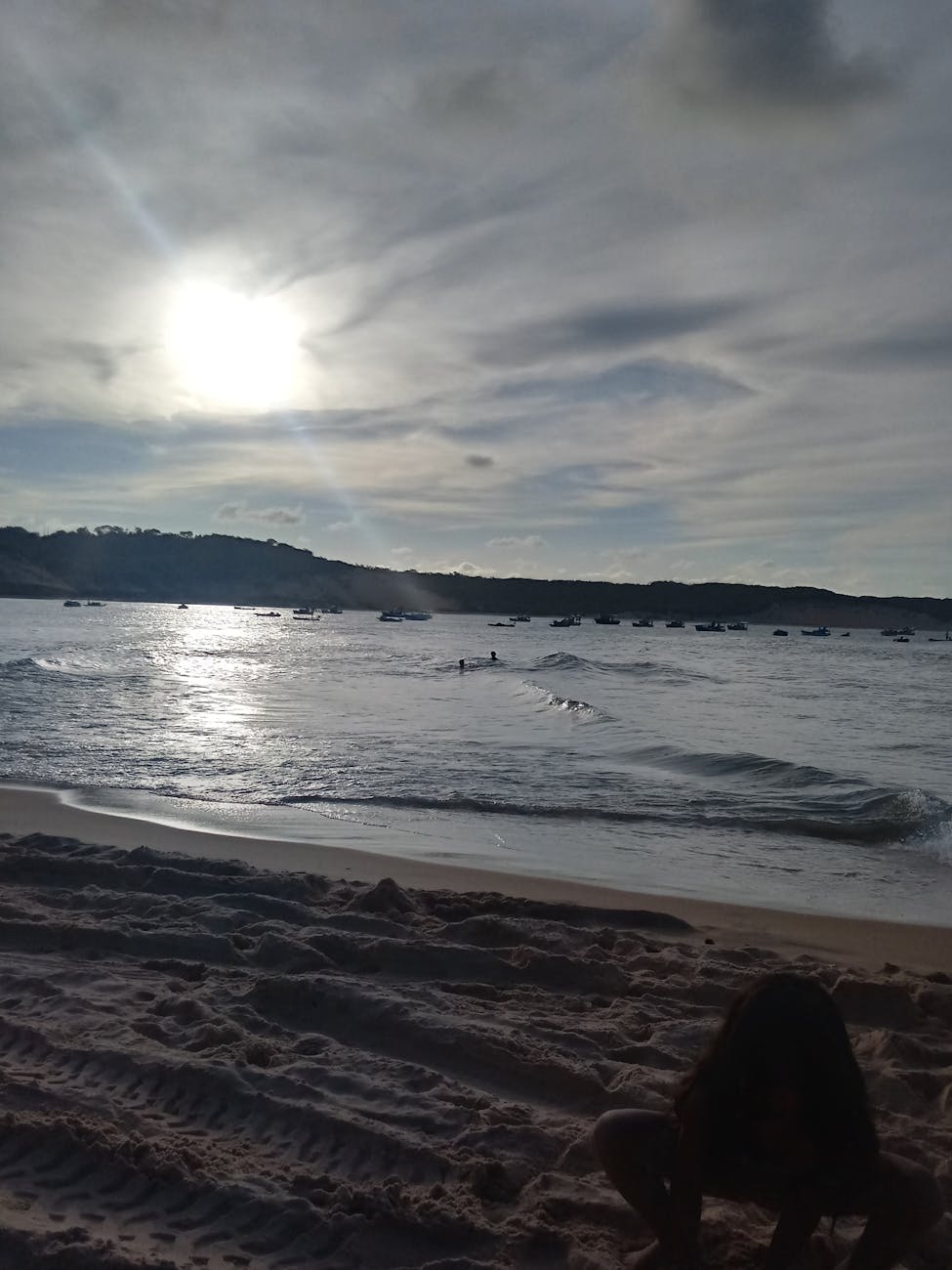 Phalaenopsis orchid arrangement