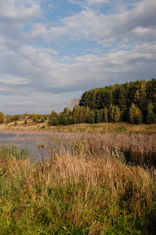 Free Peaceful autumn lake scene with colorful trees and clear skies, showcasing nature's beauty. Stock Photo