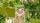 ariel view