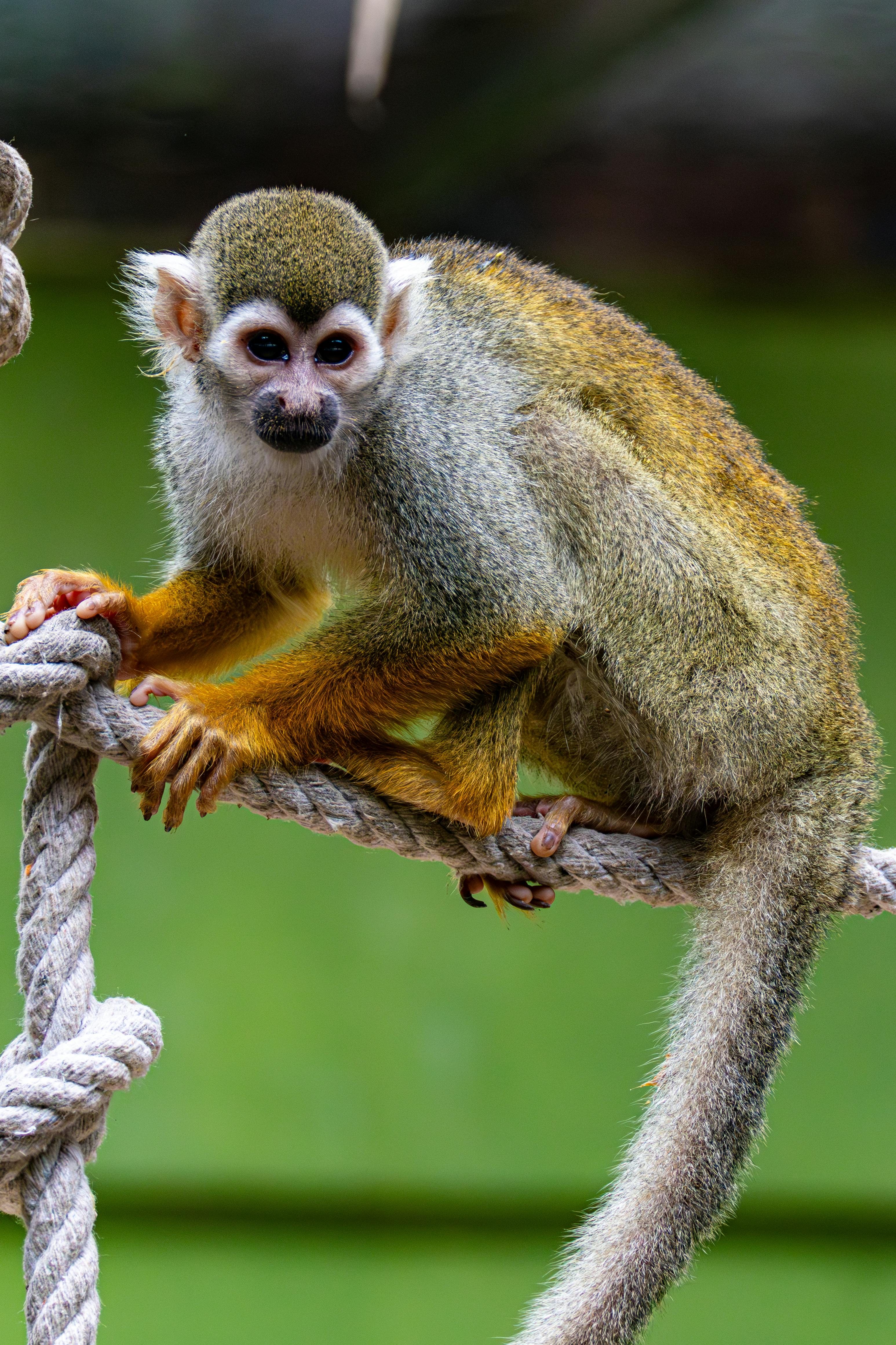 Welcome Back Backgrounds Photos, Download The BEST Free Welcome Back ...