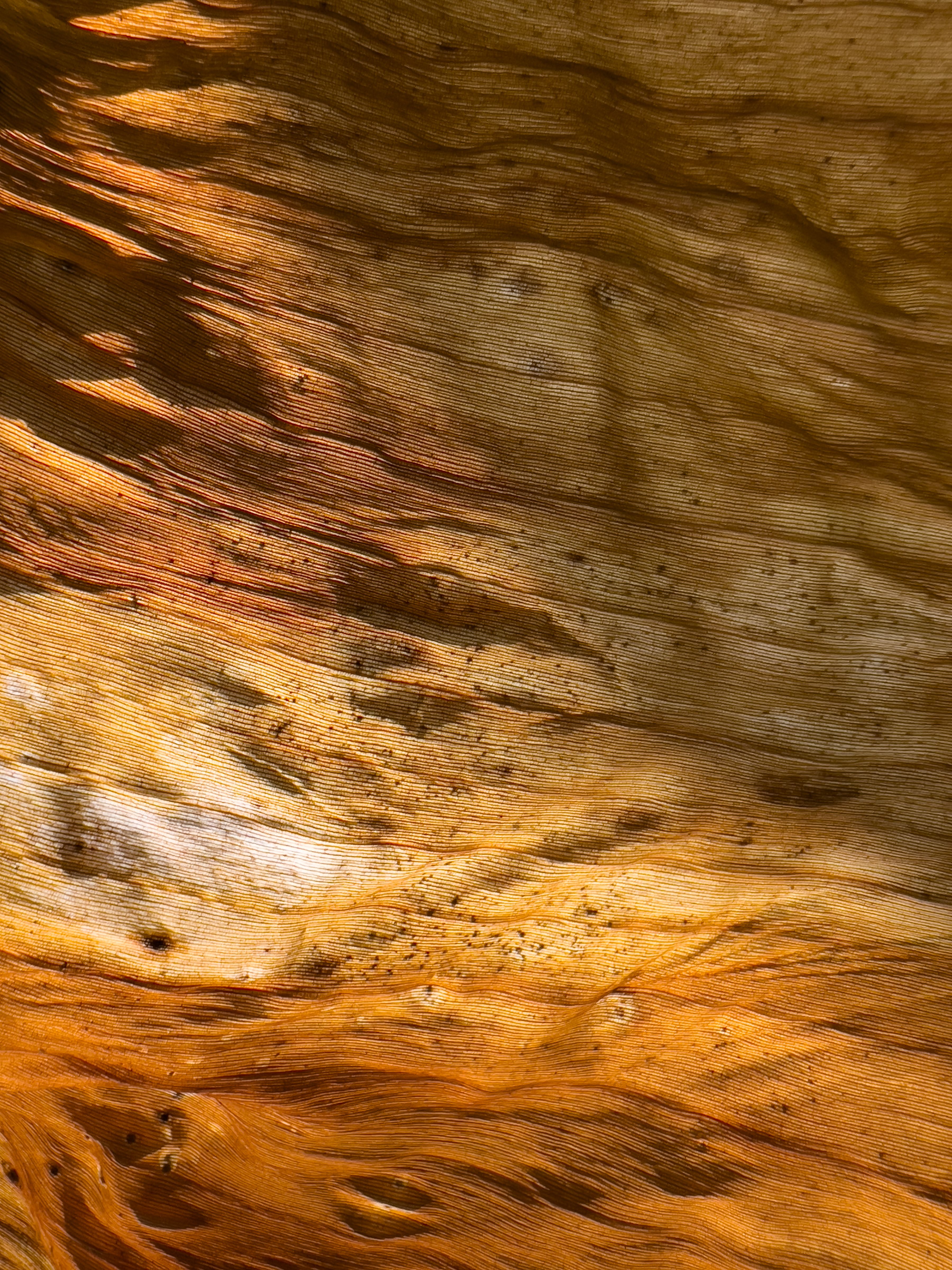 Sun Texture Photos, Download The BEST Free Sun Texture Stock Photos ...
