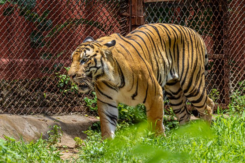 Zoo Brno