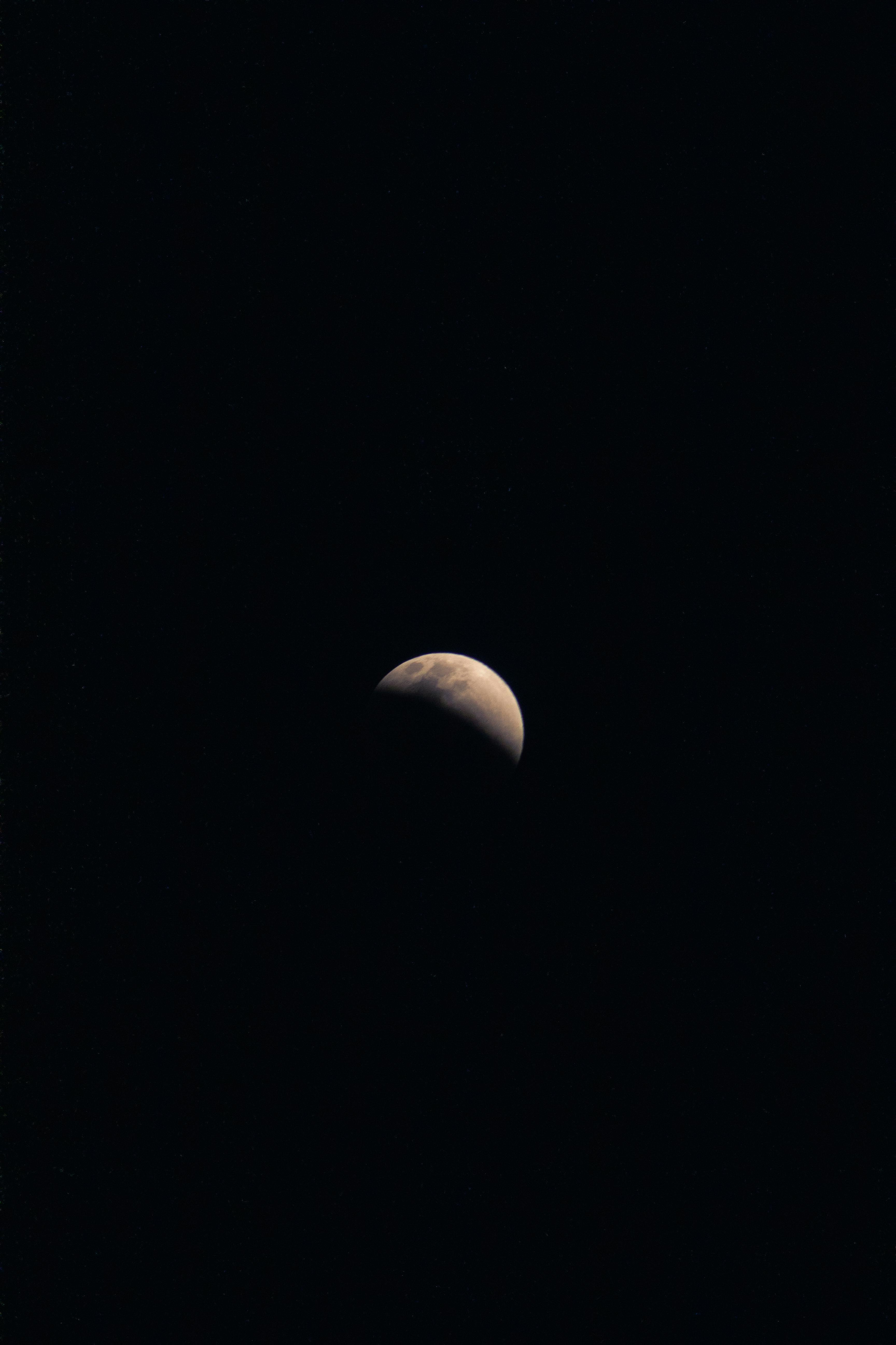 Stunning view of the half moon against a dark night sky. Ideal for night and astronomy themes.