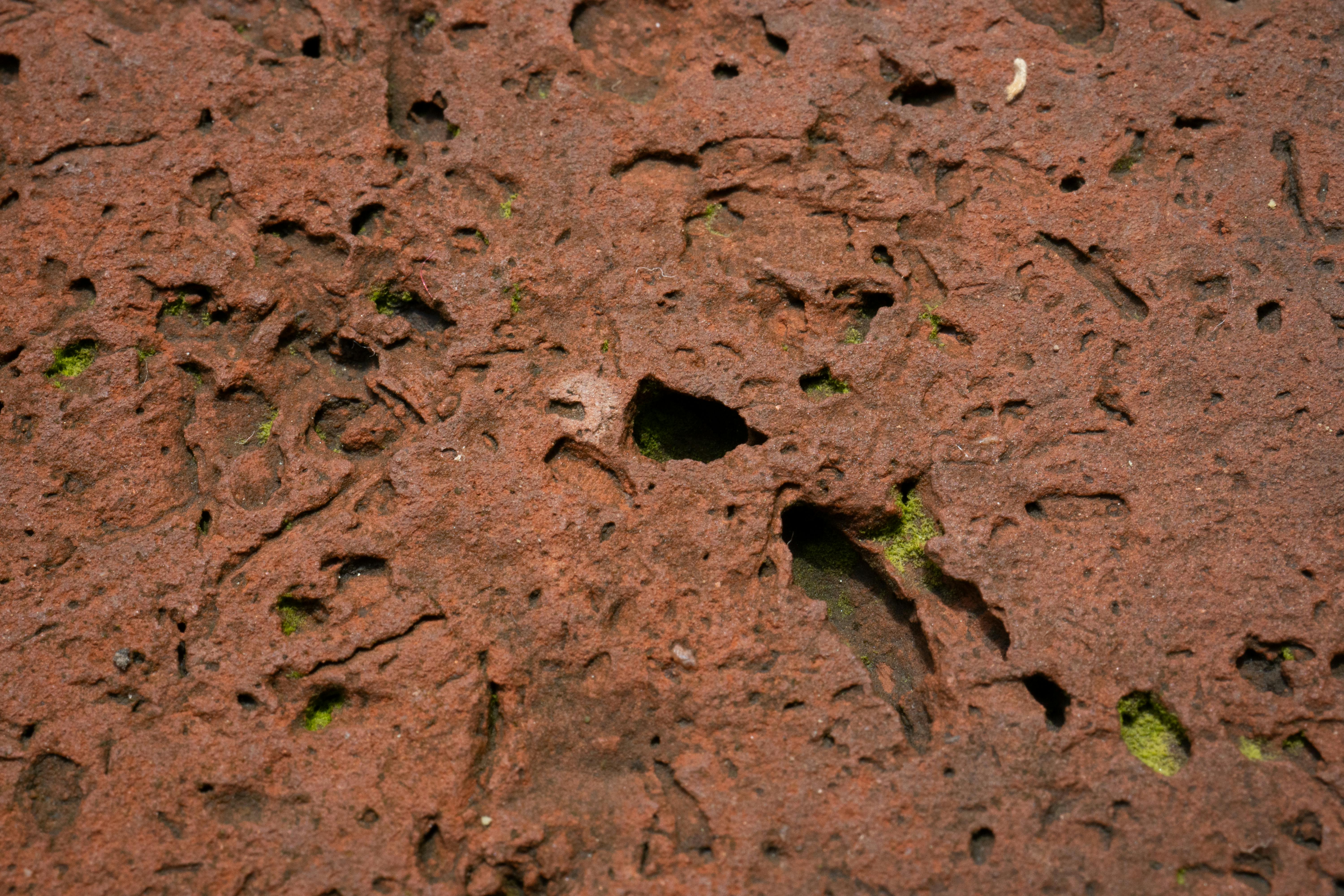 Gratuit Gros plan détaillé d'une surface en briques d'adobe patinée par le temps, présentant des imperfections naturelles et de la mousse. Photos