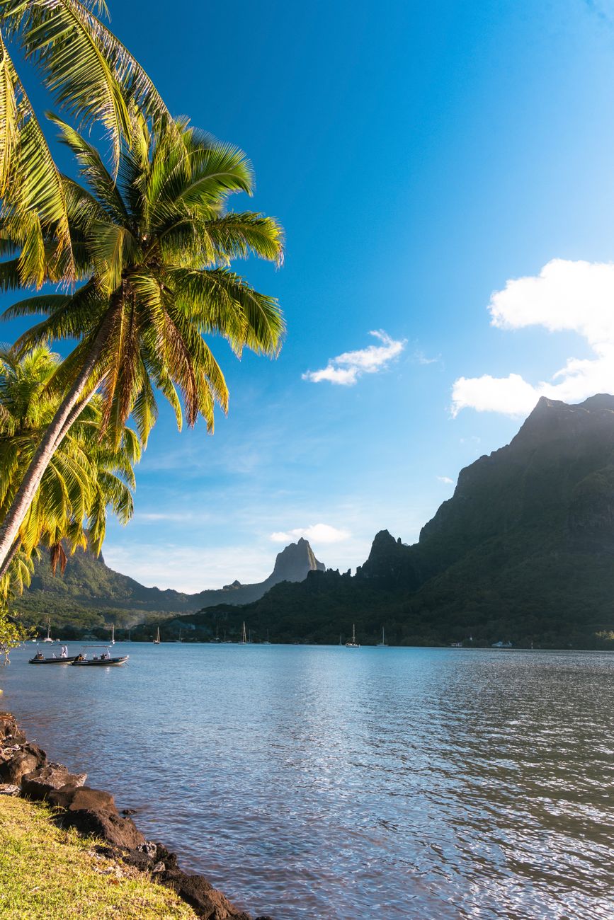 Paysage de Tahiti, berceau de l'Institut Du Leadership