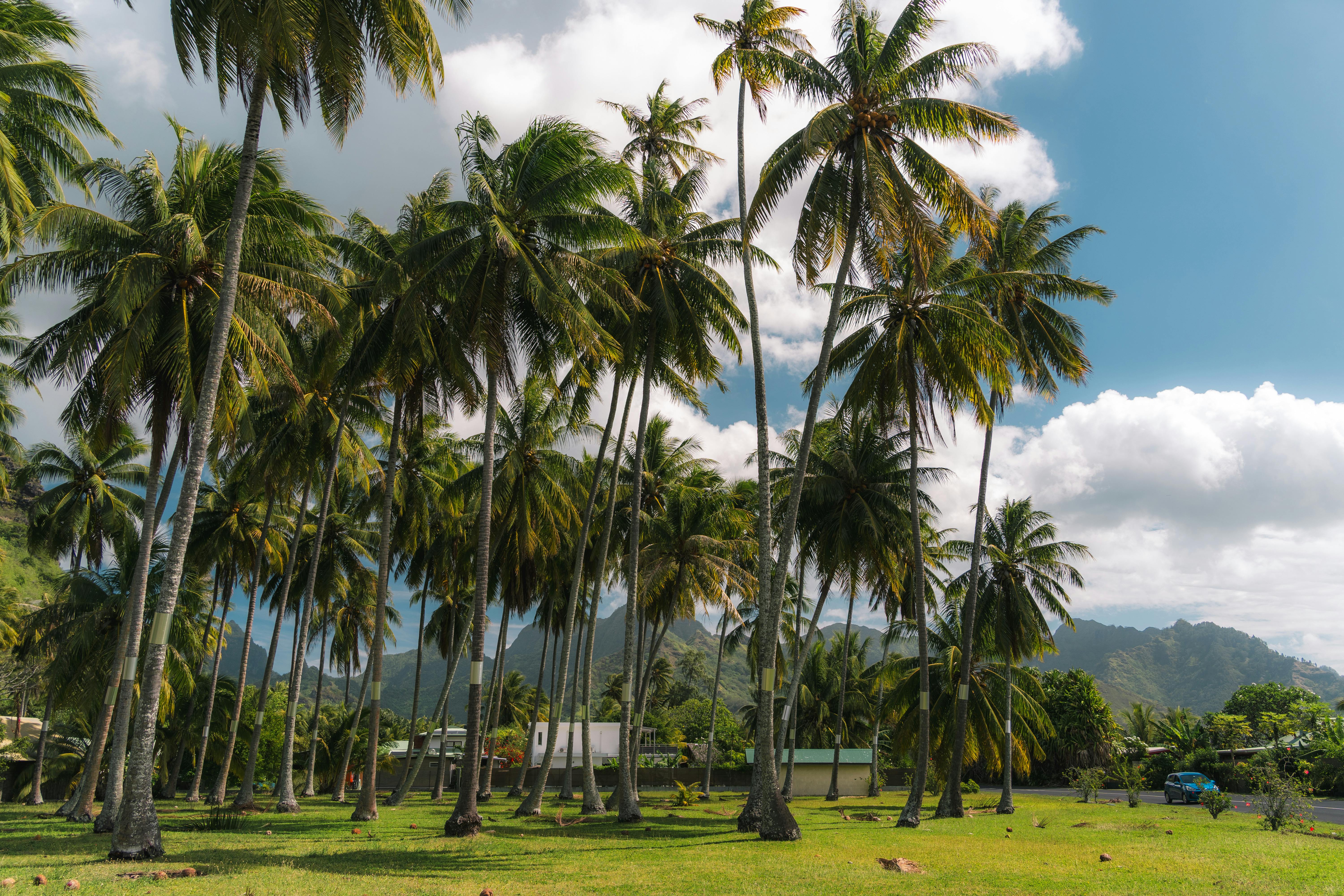 Ultimate Guide to Eco-Friendly Travel Options