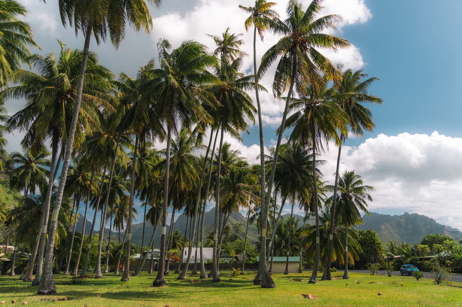 Popular sights in Rarotonga Landmarks in Rarotonga