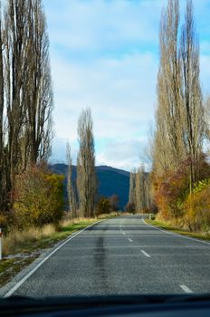 Beautiful autumn road with tall trees leading to the mountains in Queenstown, New Zealand.