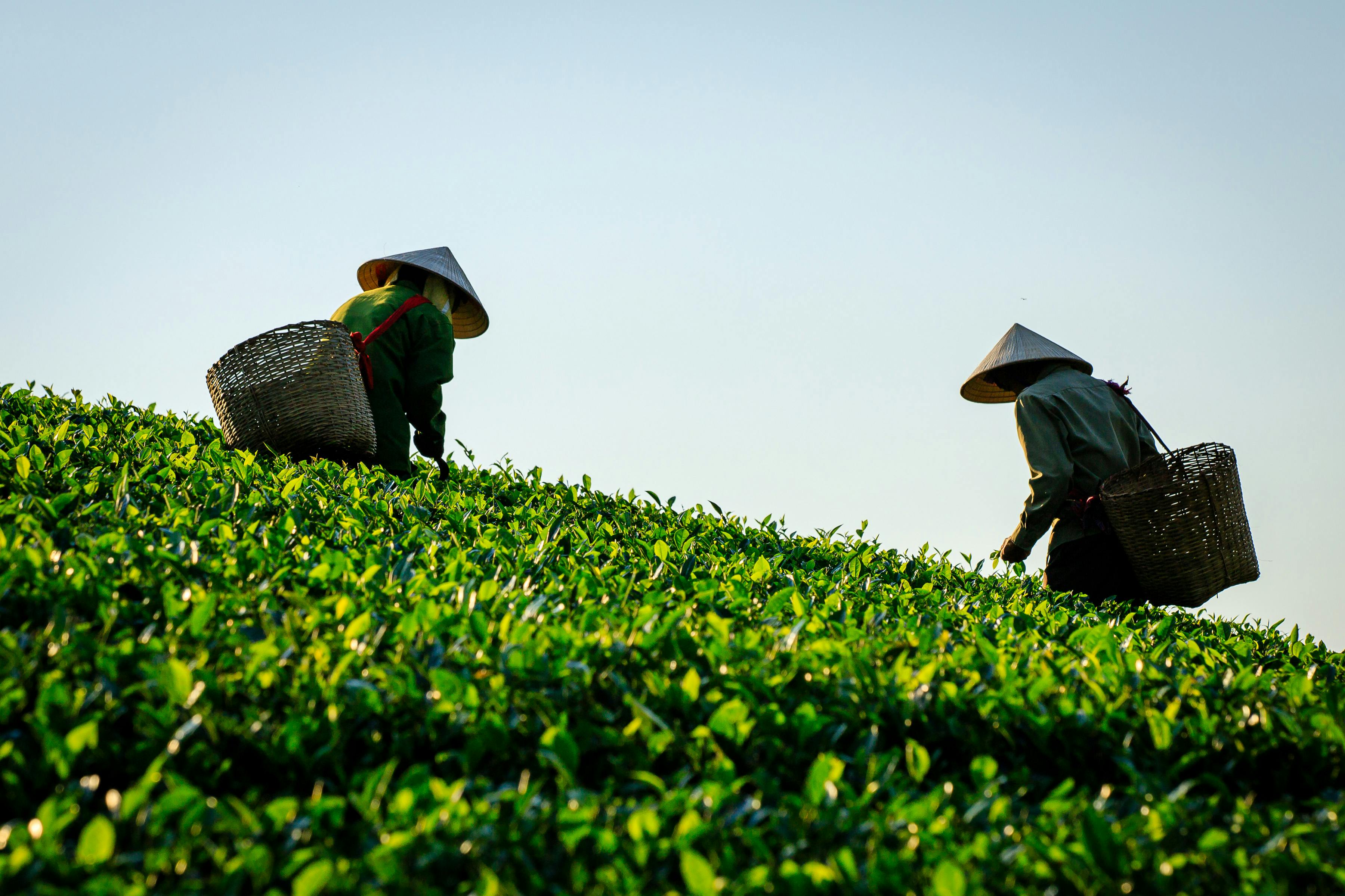 Oriental Mindoro sunrise