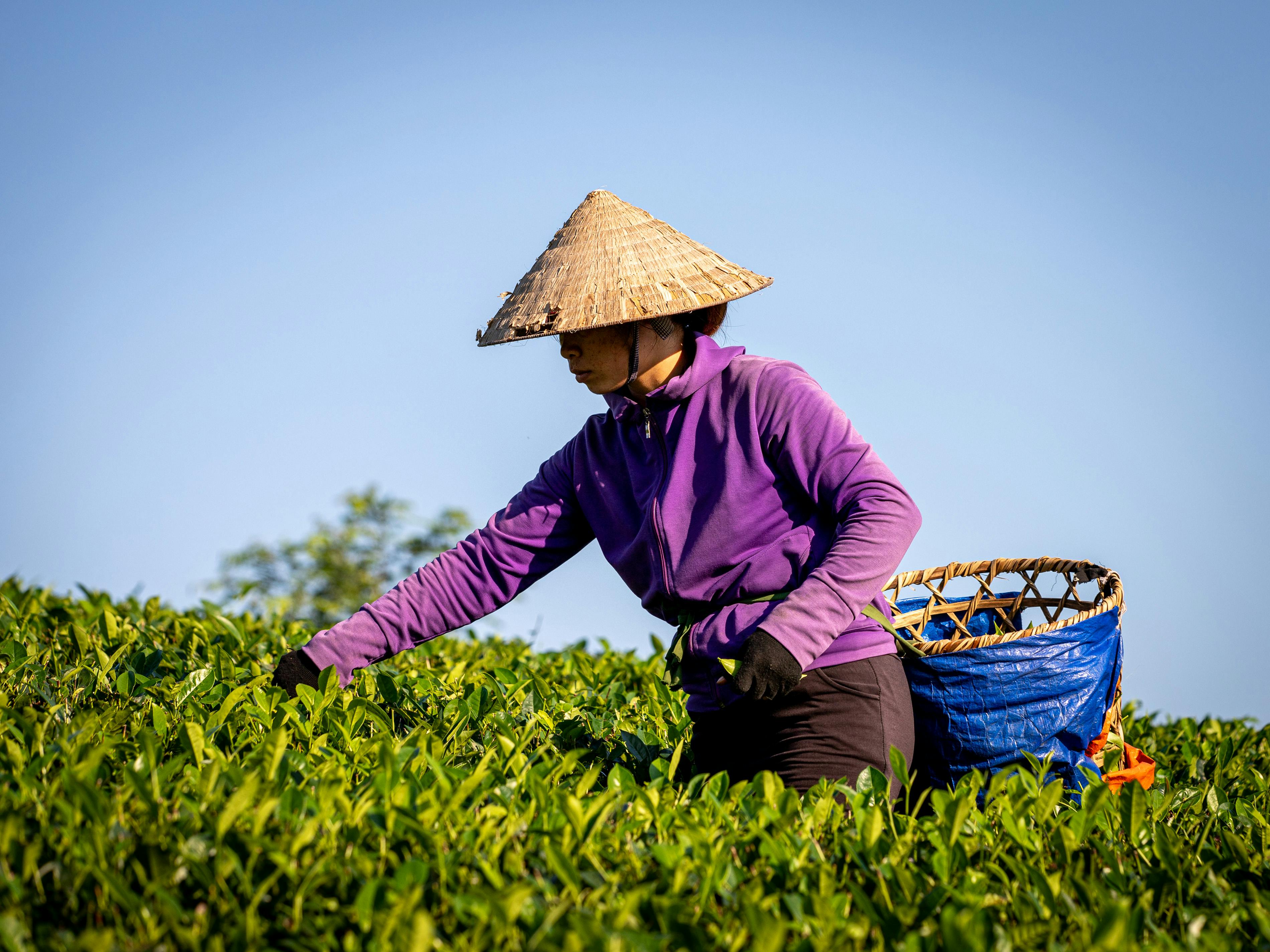 昱臺國際計劃10月上櫃，擴大資本布局迎接成長契機