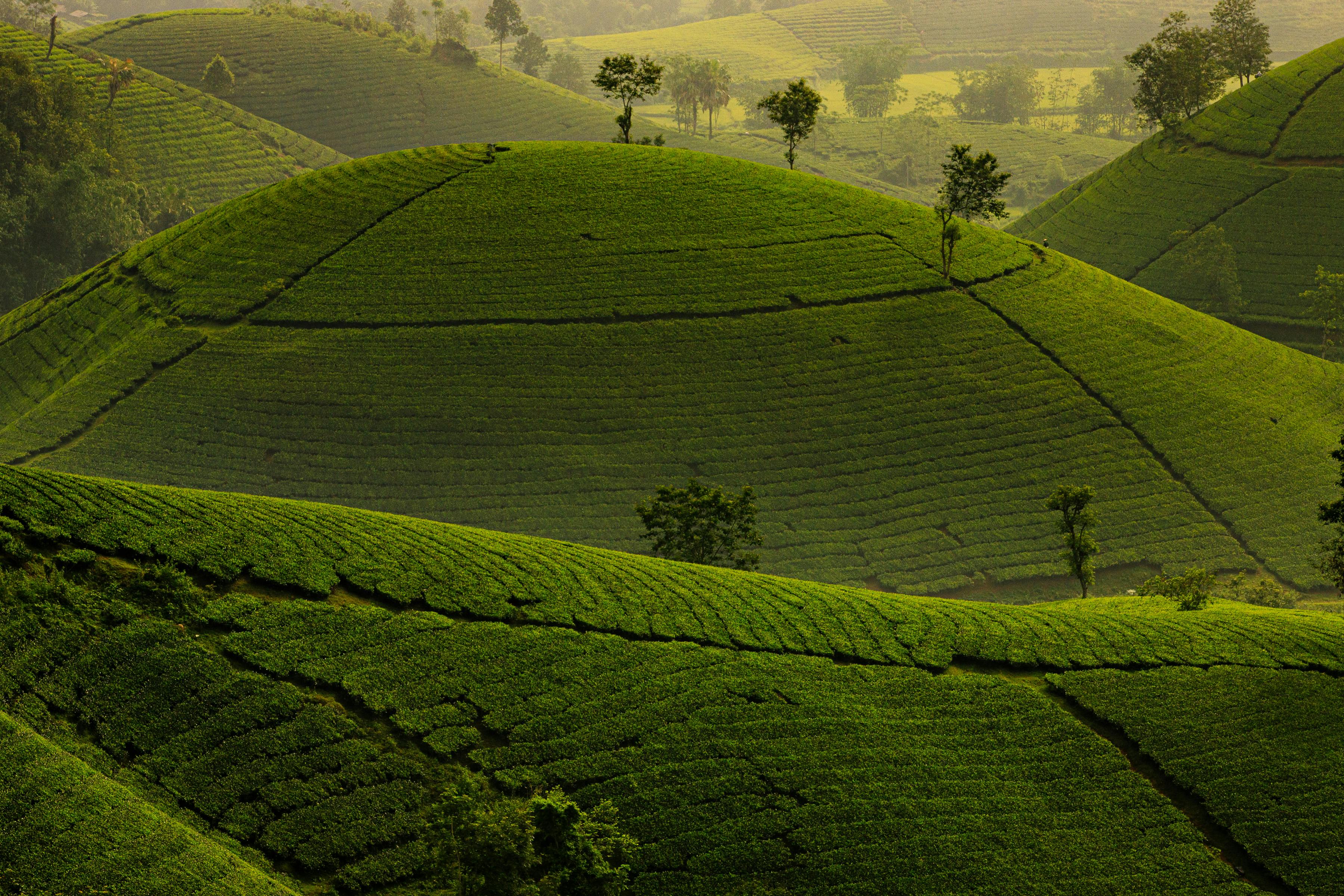 ESG成中小企業護城河，5大策略助攻關稅與地緣政治挑戰