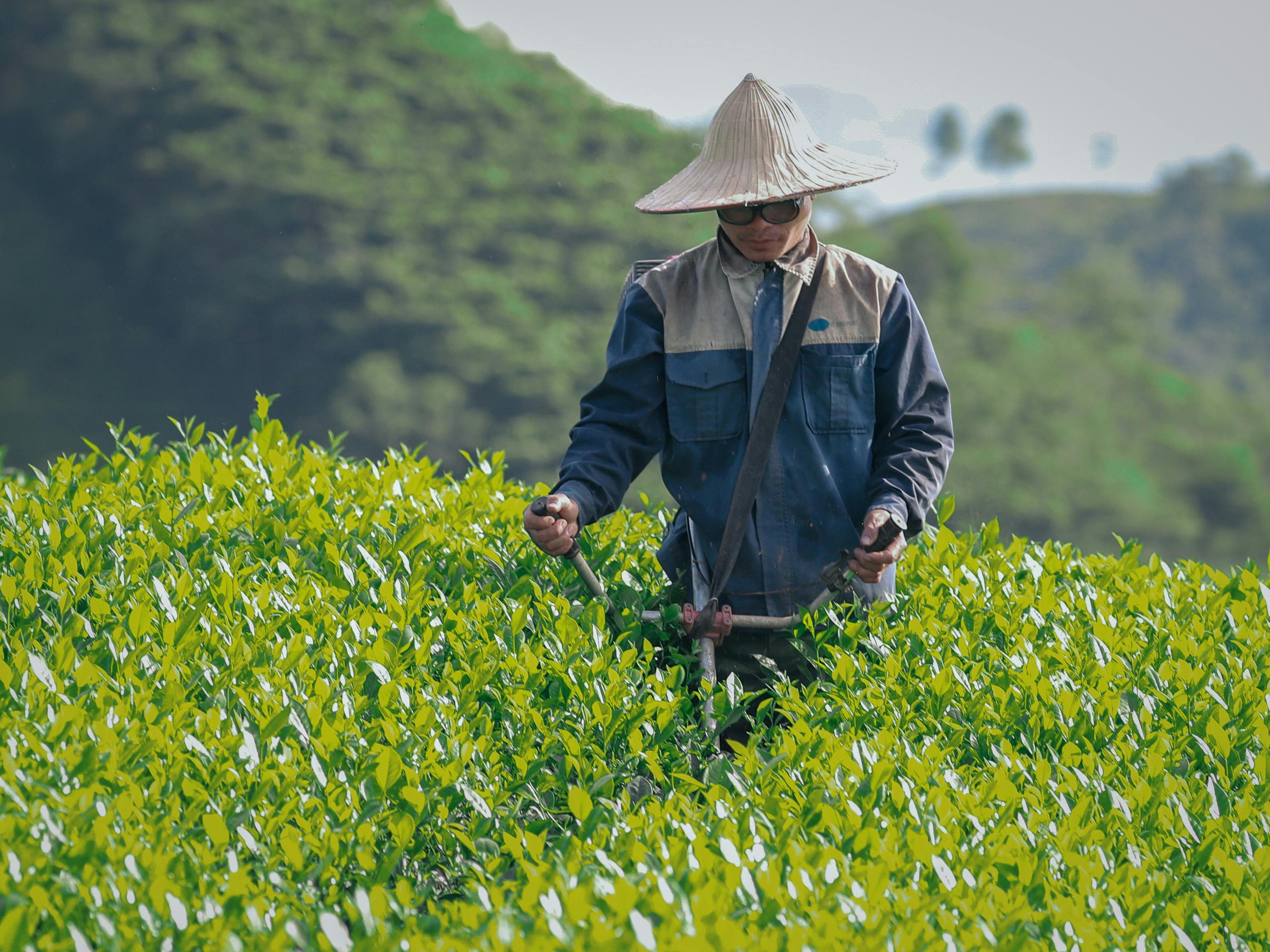 ESG成中小企業護城河，5大策略助攻關稅與地緣政治挑戰