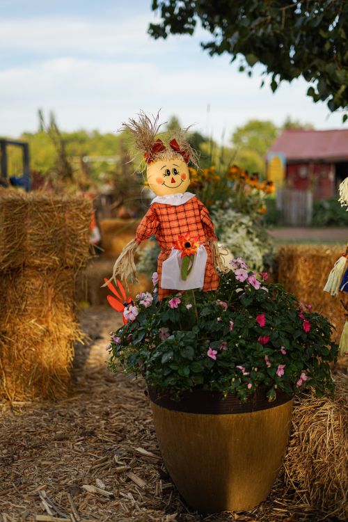 Free Colorful scarecrow surrounded by hay bales and flowers in a scenic autumn garden setting. Stock Photo