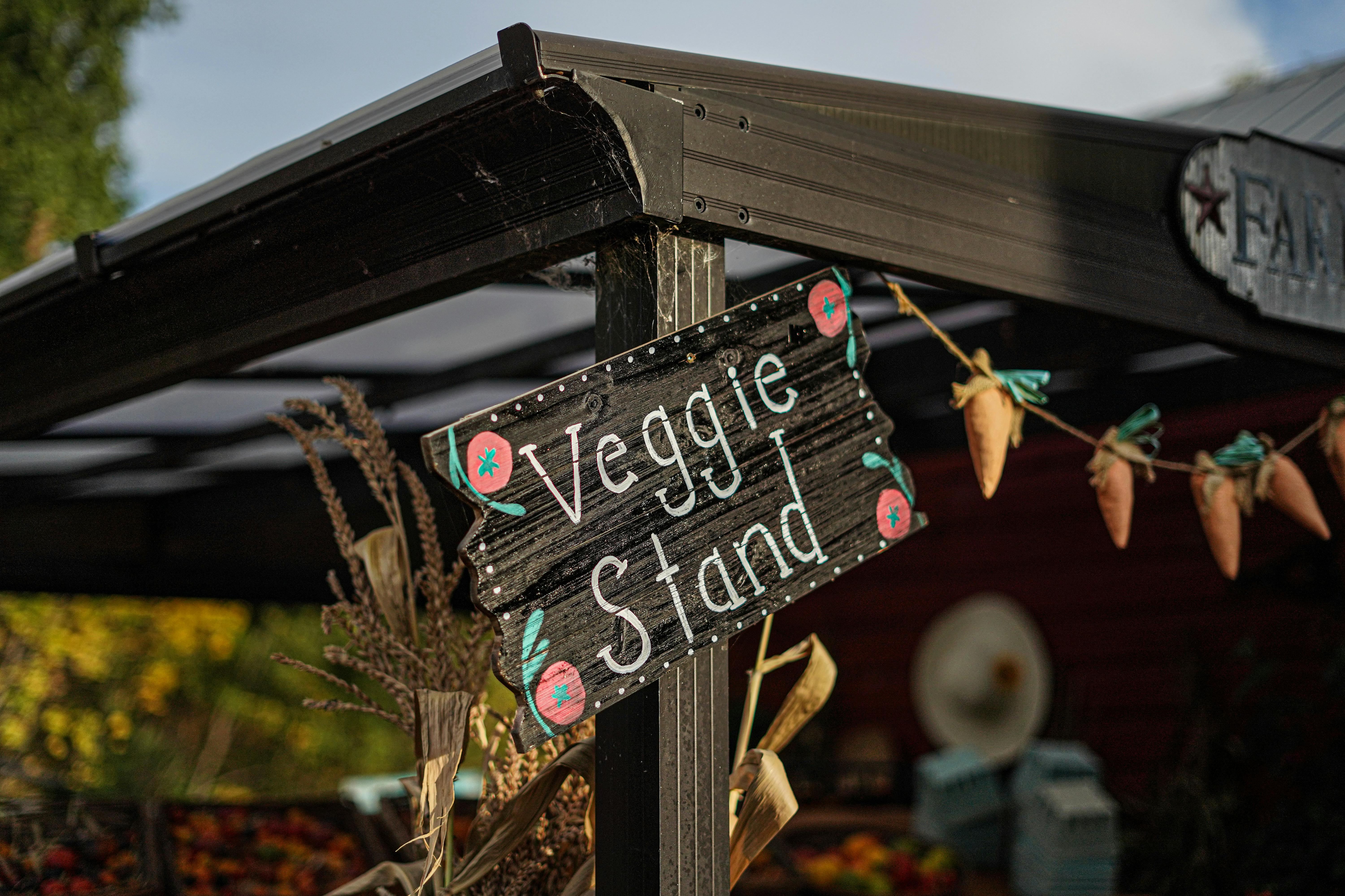 Backyard Gardening Hacks for a Thriving Garden