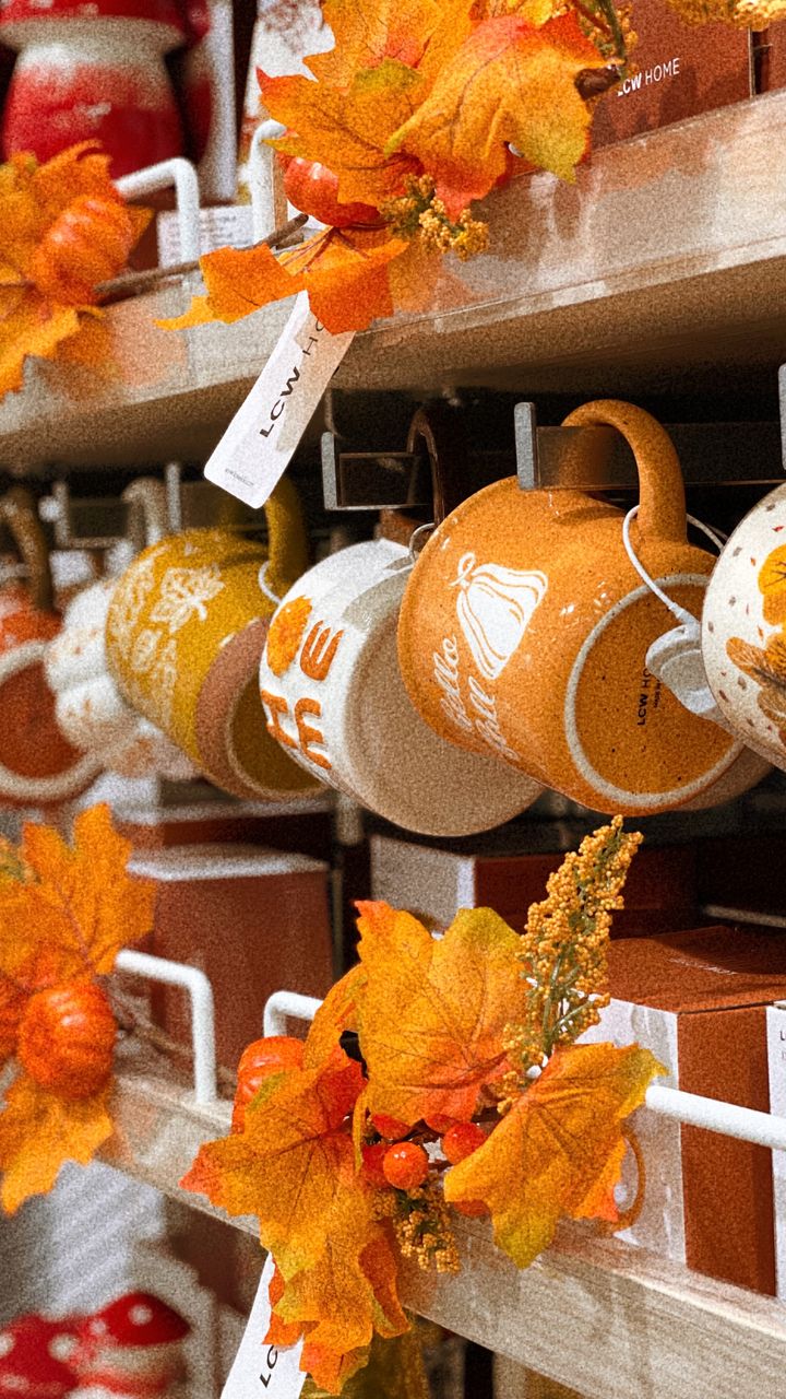 Seasonal fall mini pumpkins displayed on a dollar tree coffee bar design