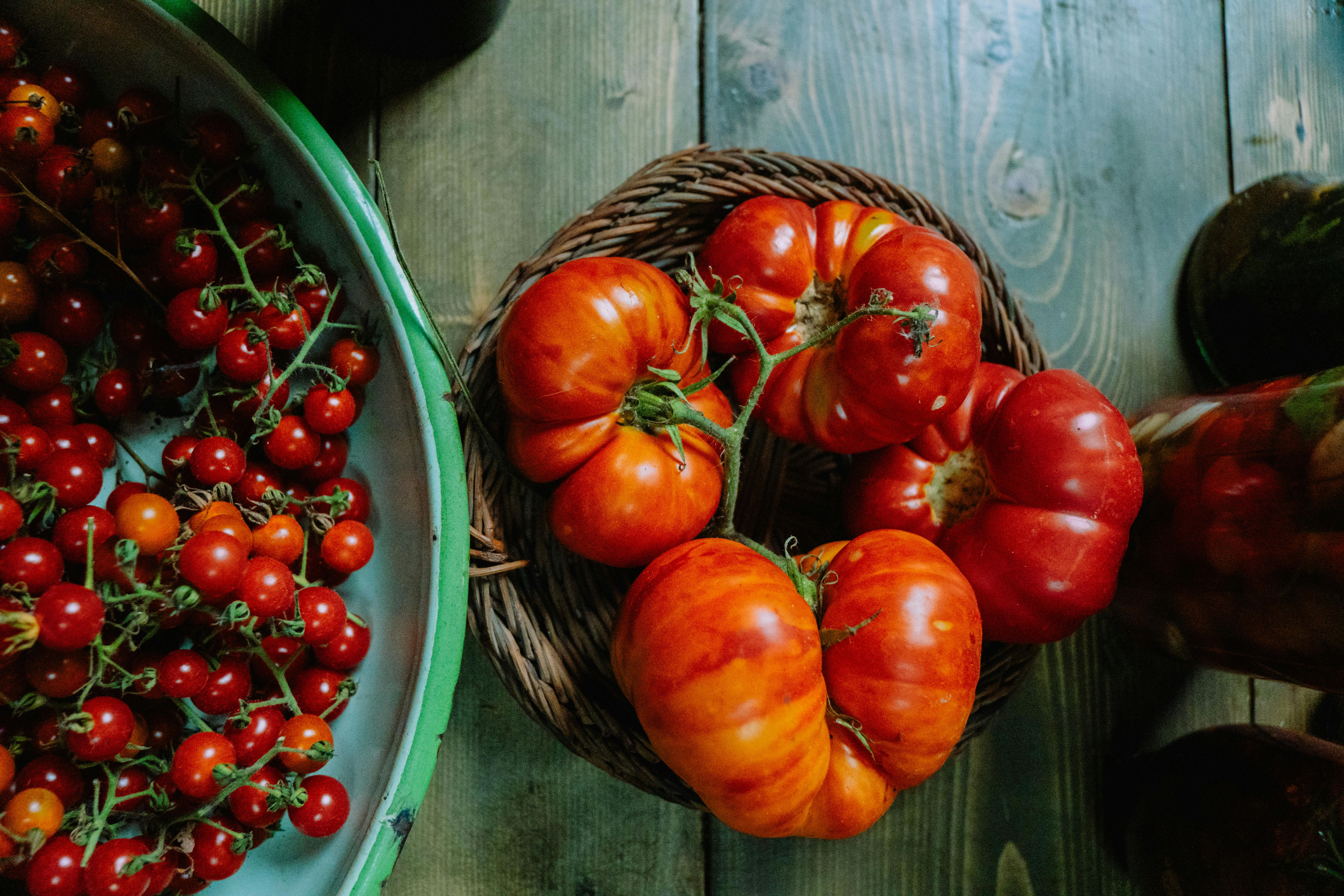 Top Innovations Driving Sustainable Futures