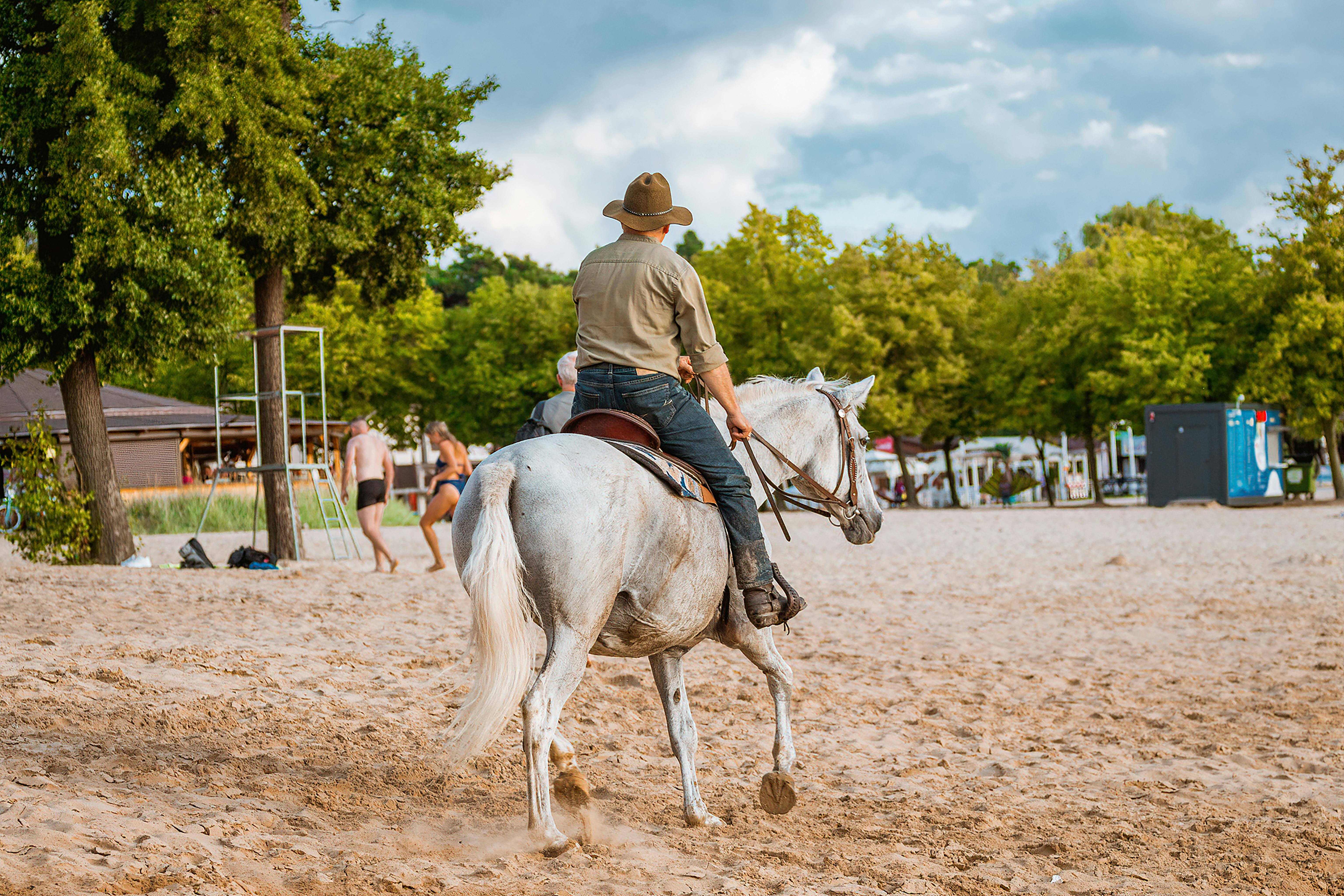 How to Find a Reputable Riding Instructor in the Antelope Valley