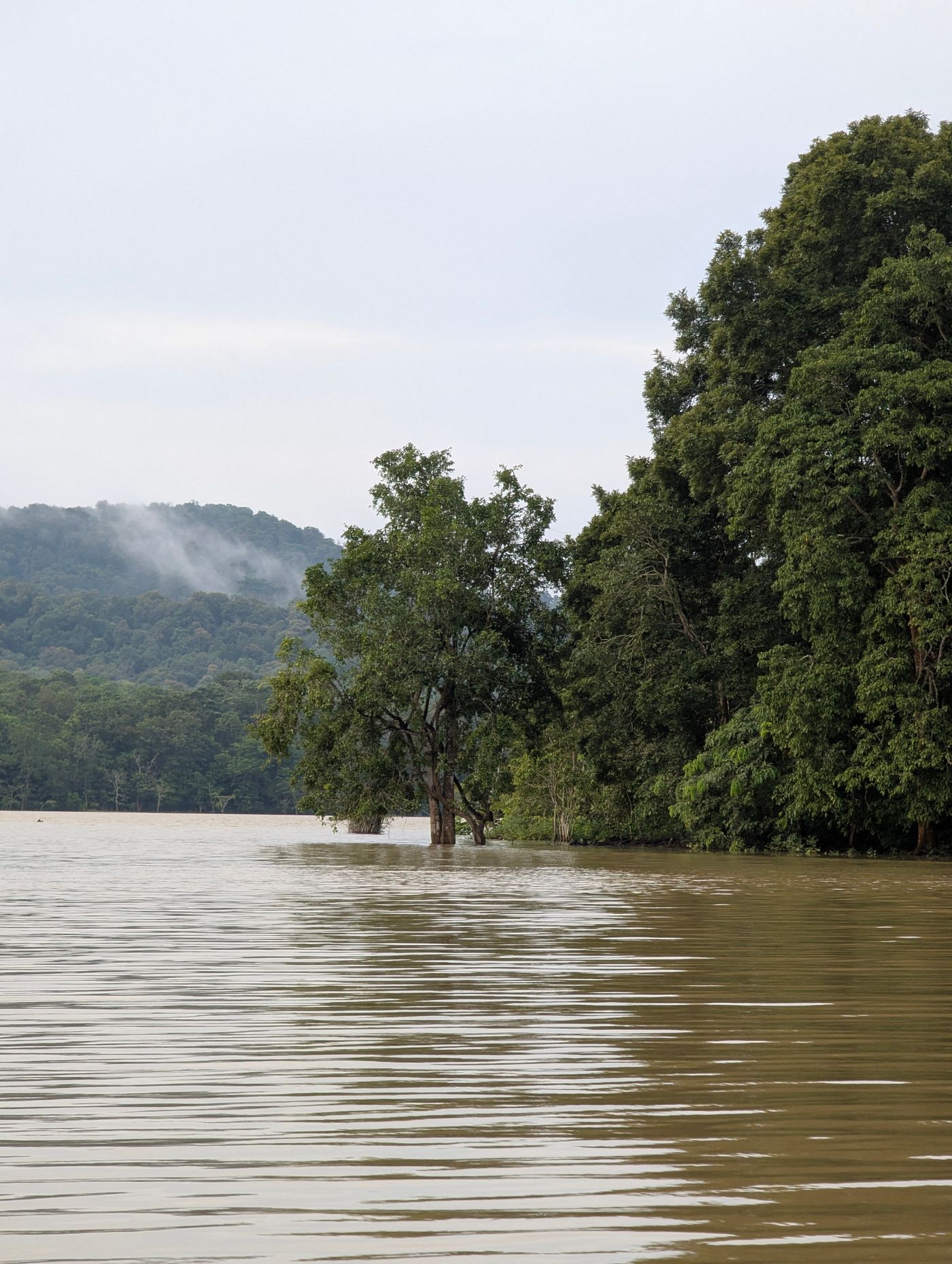 Backwater edging into forest hills under monsoon mist — representative image