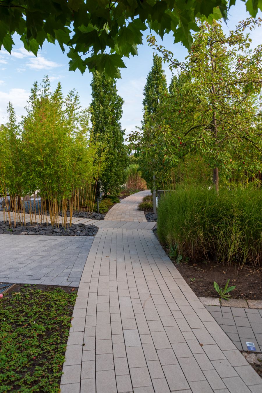 Landscaped garden pathway