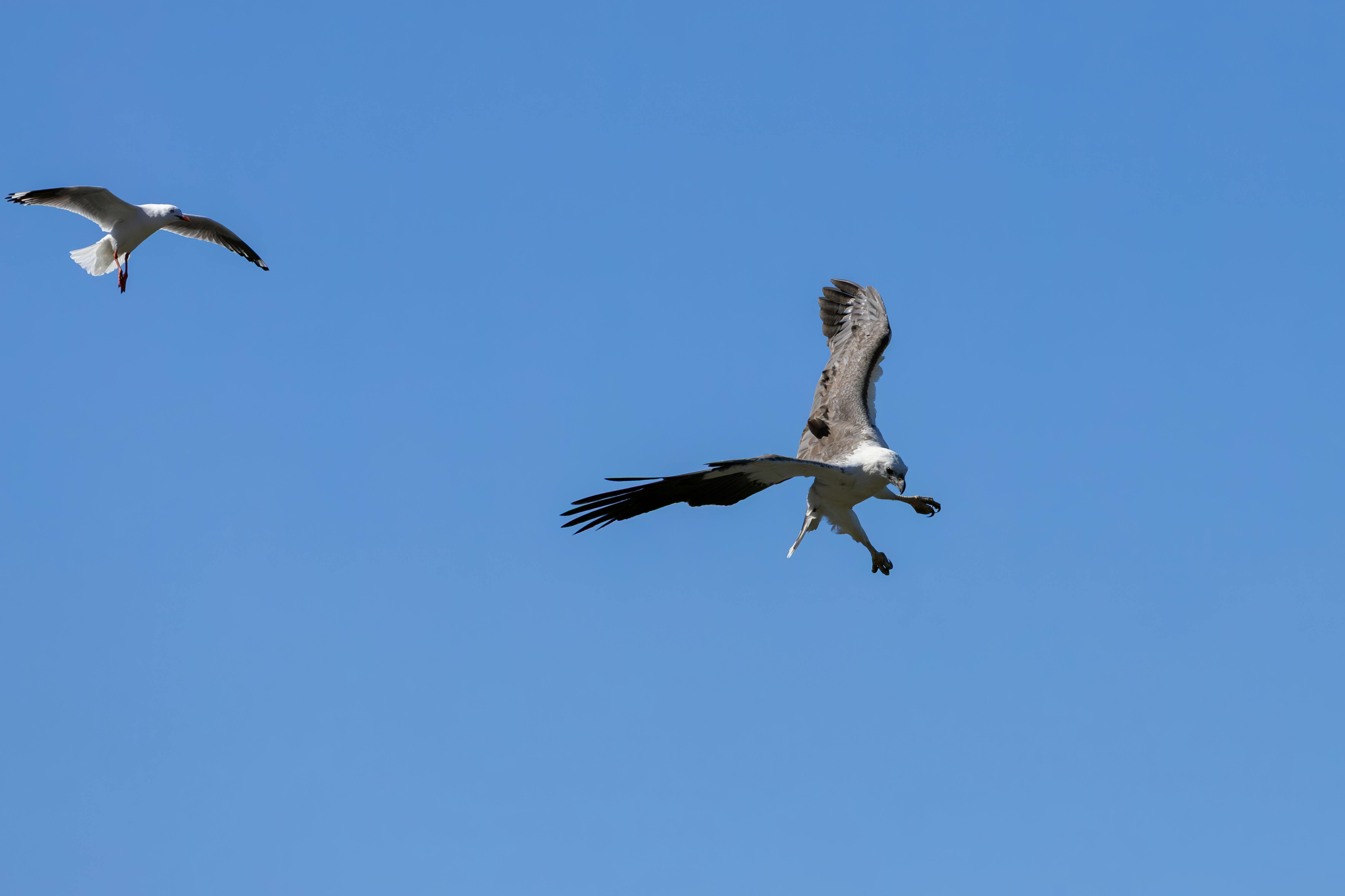 Landmarks in Hunter Valley
