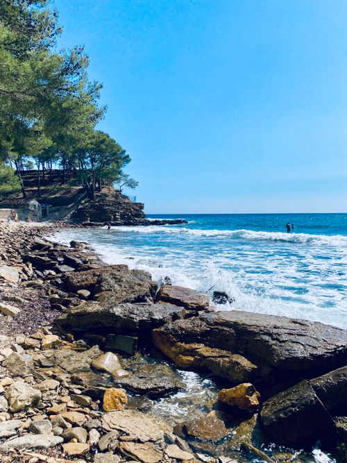 Free Serene rocky beach scene with azure waves and pine trees under a bright blue sky. Stock Photo