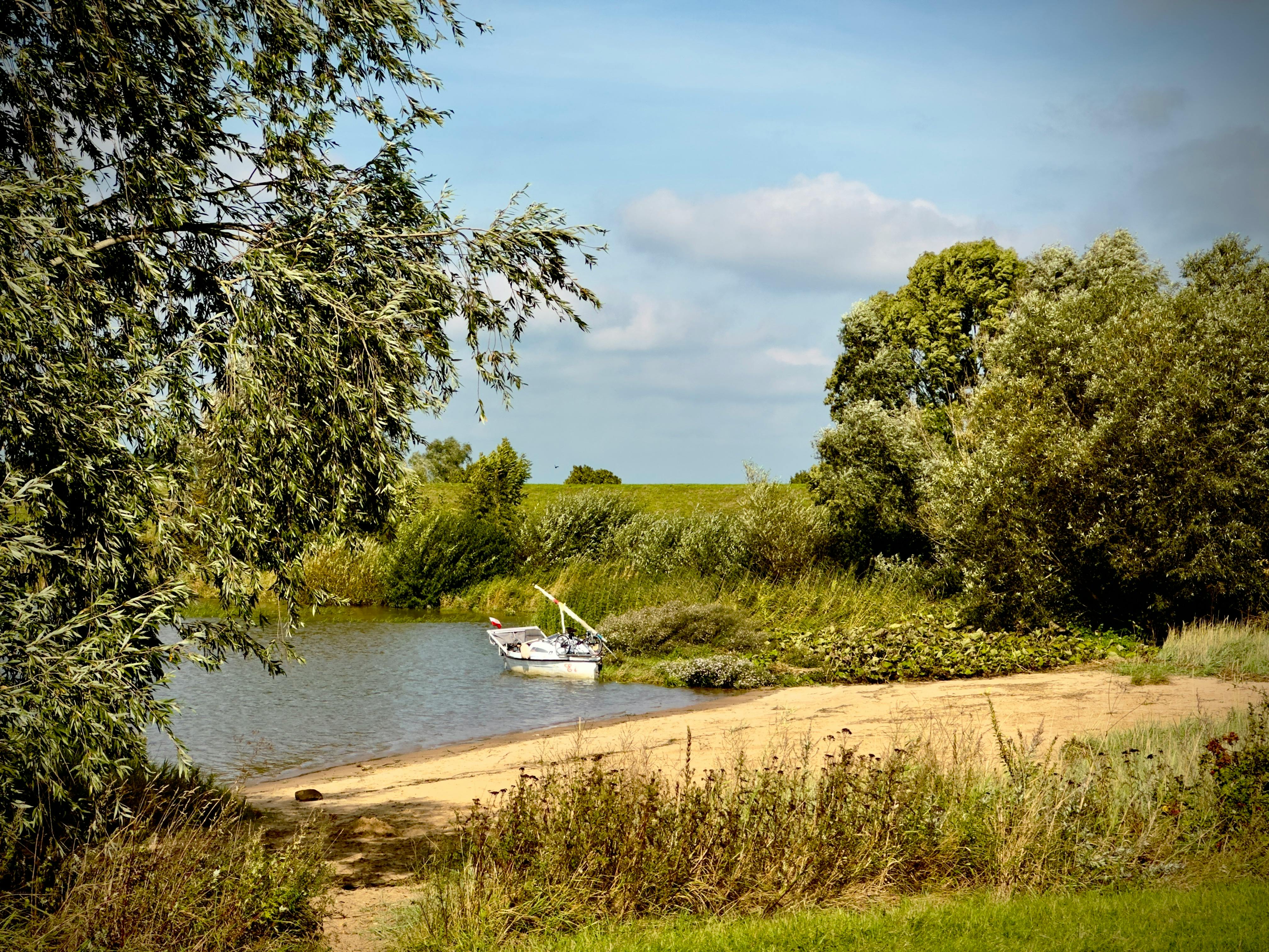 財經：阿里雲穩坐龍頭估值衝上萬億，AI資本投入助力收入加速增長