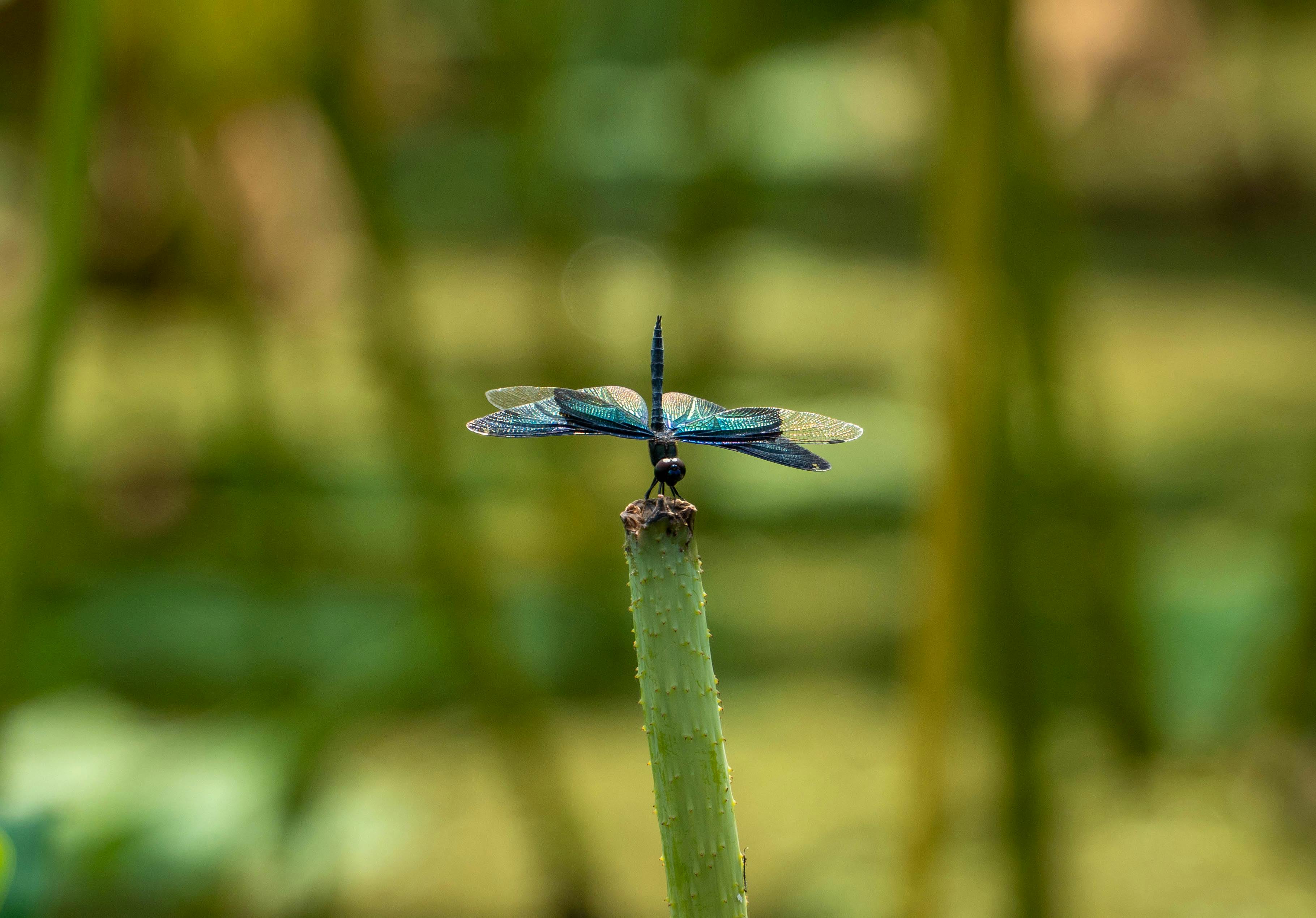 Resume Background Photos, Download The BEST Free Resume Background ...