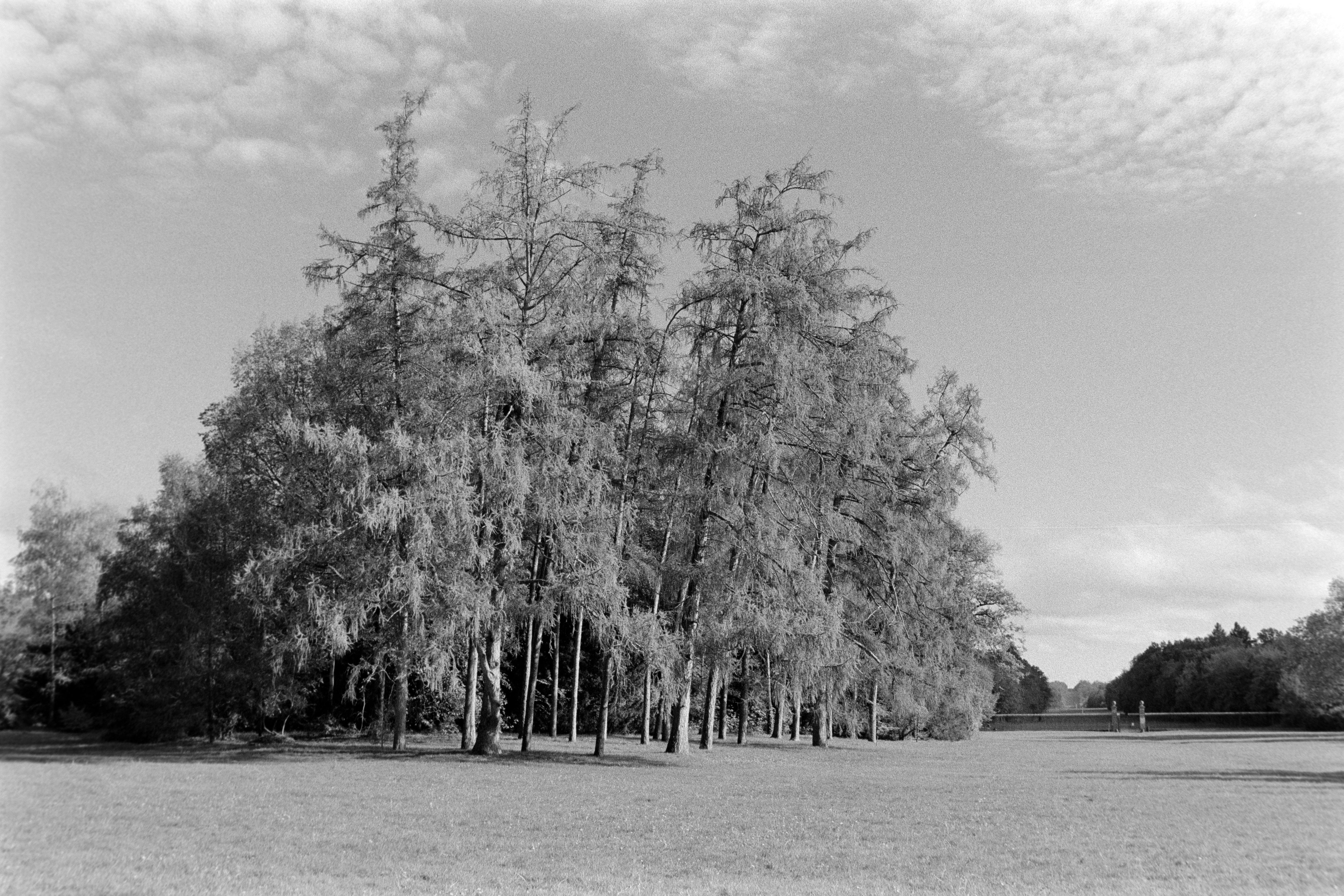 Matthew McConaughey分享“Just Live Kipping”理念，啟發家庭生活