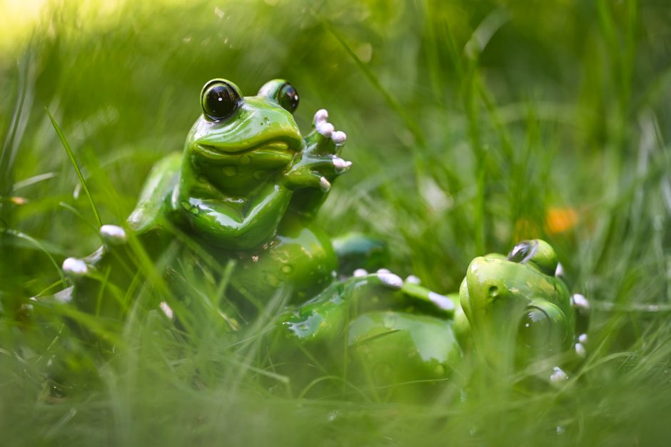 Playful ceramic frog sculptures resting on grass, embodying a whimsical and fun outdoor setting.