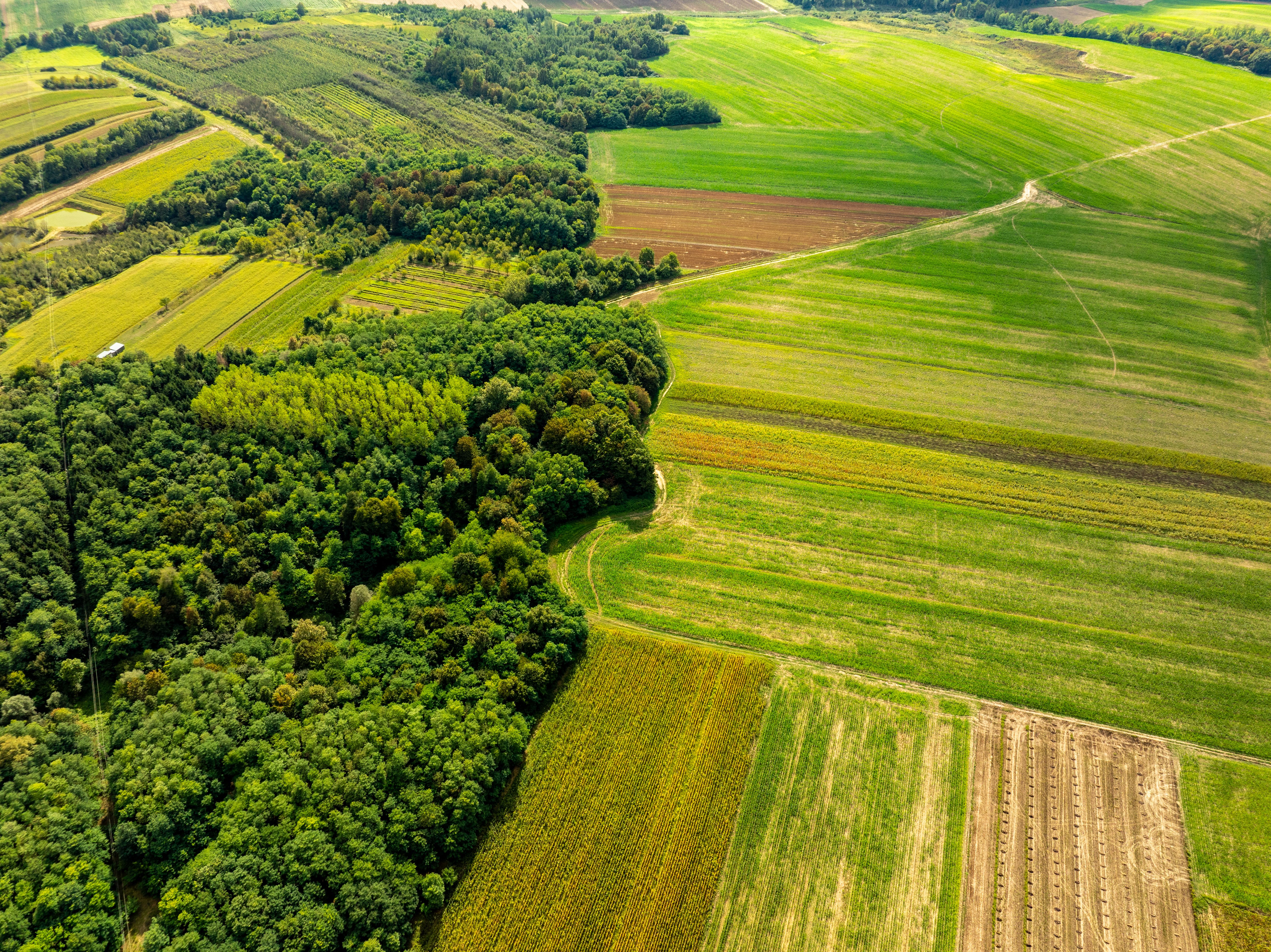 Investiții în piața de agricultură ecologică și certificare bio din Dolj