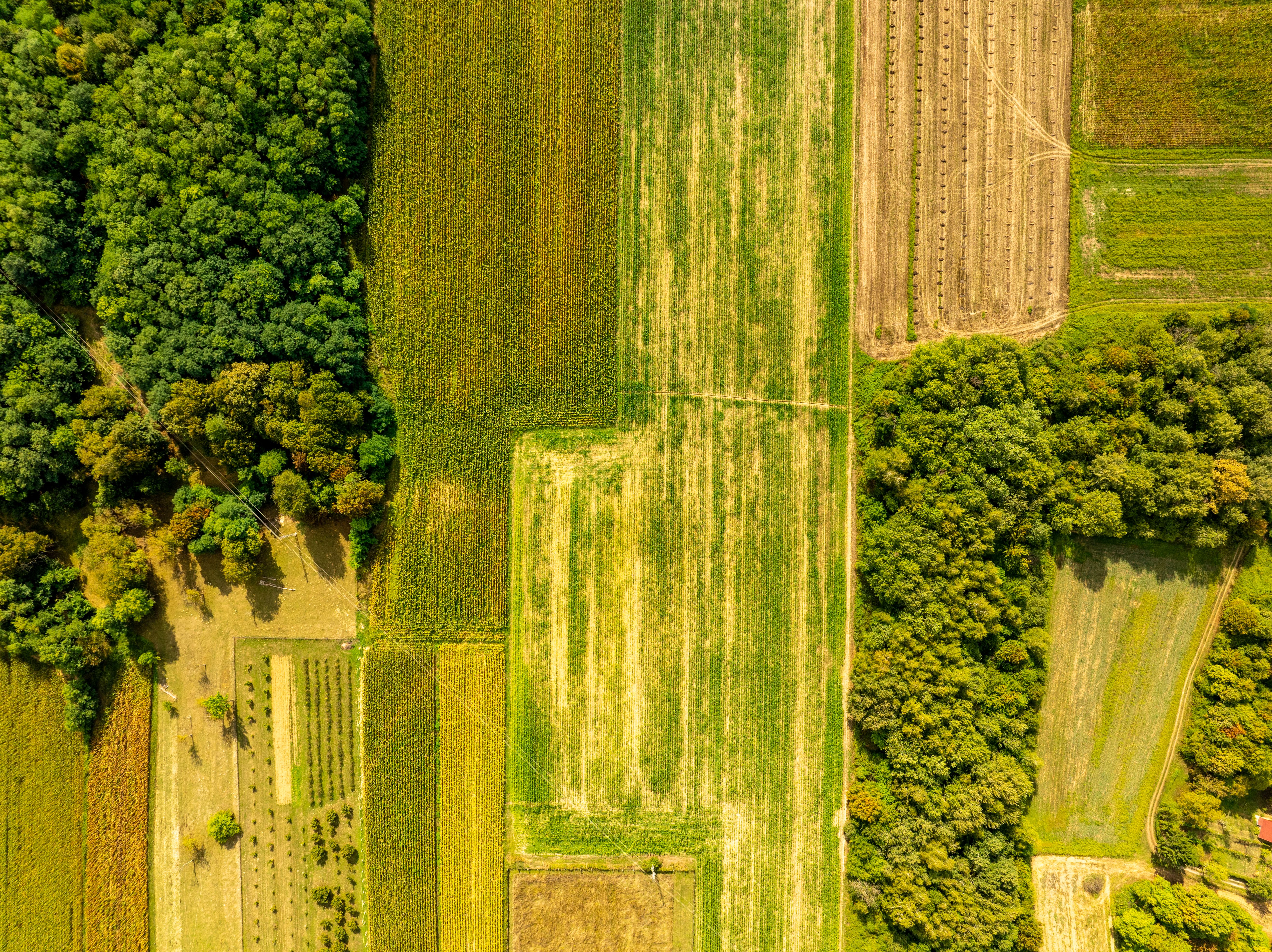 Ohio rural healthcare access — an advanced solution? — Photo by Vladimir Srajber on Pexels
