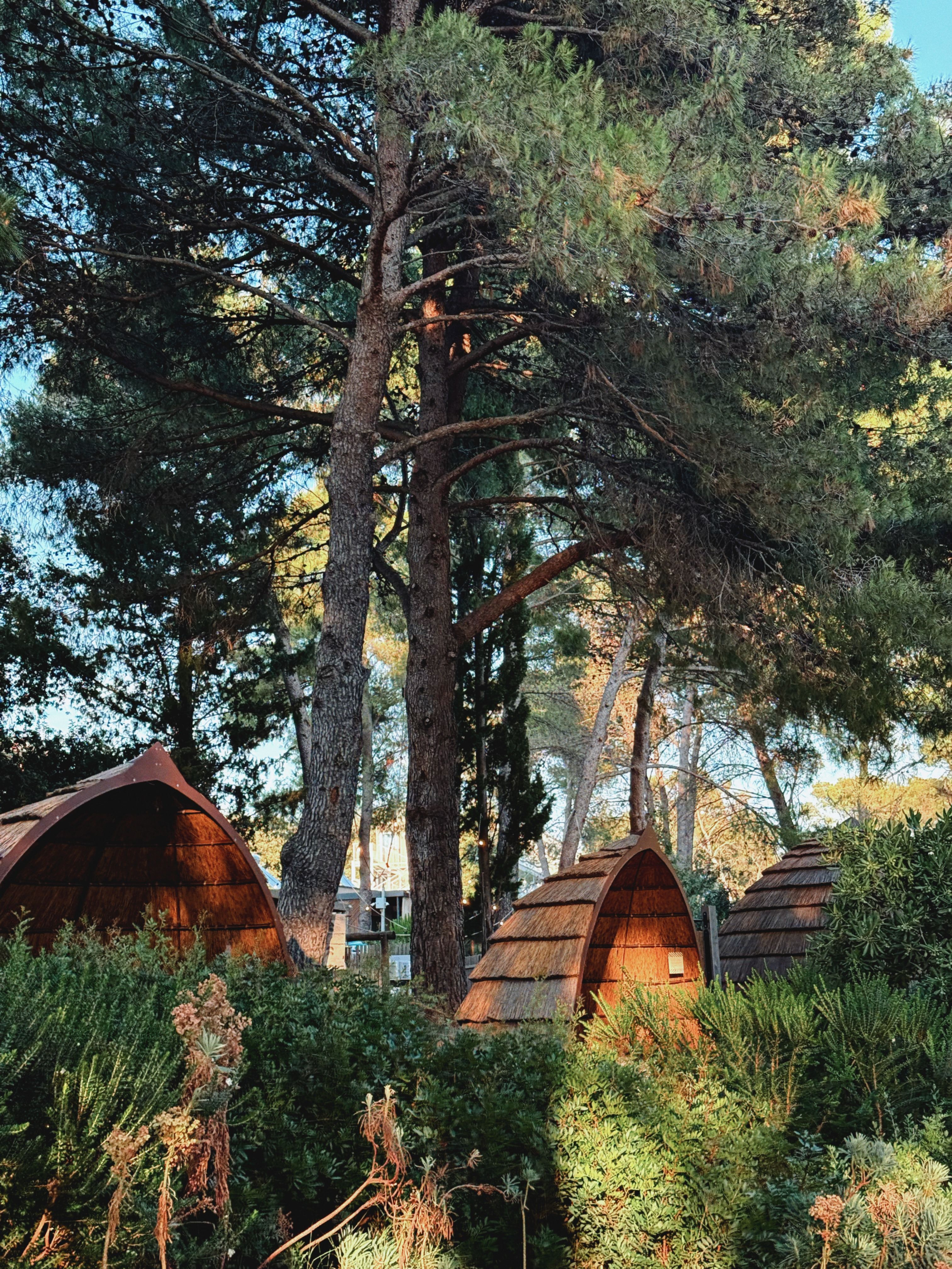 Gîtes atypiques en occitanie - illustration