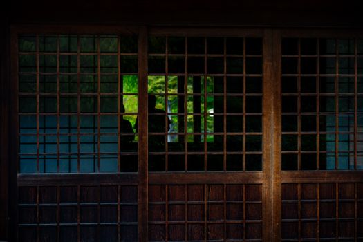A traditional Japanese sliding door with a silhouette and lush greenery visible through the glass.