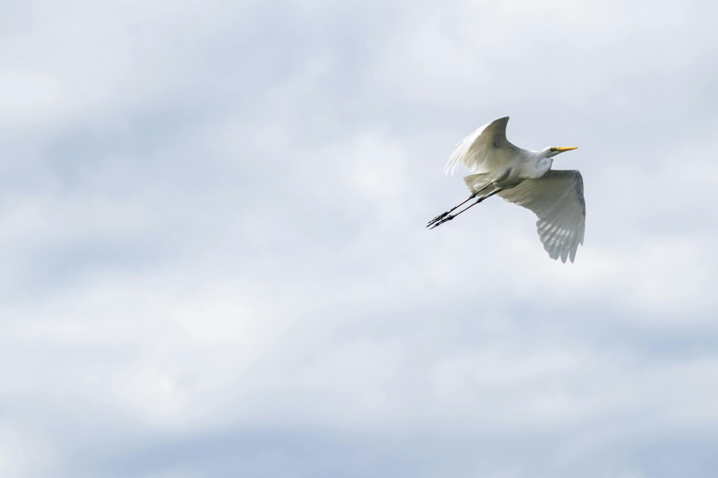 Secretary Legs Photos Download The BEST Free Secretary Legs Stock