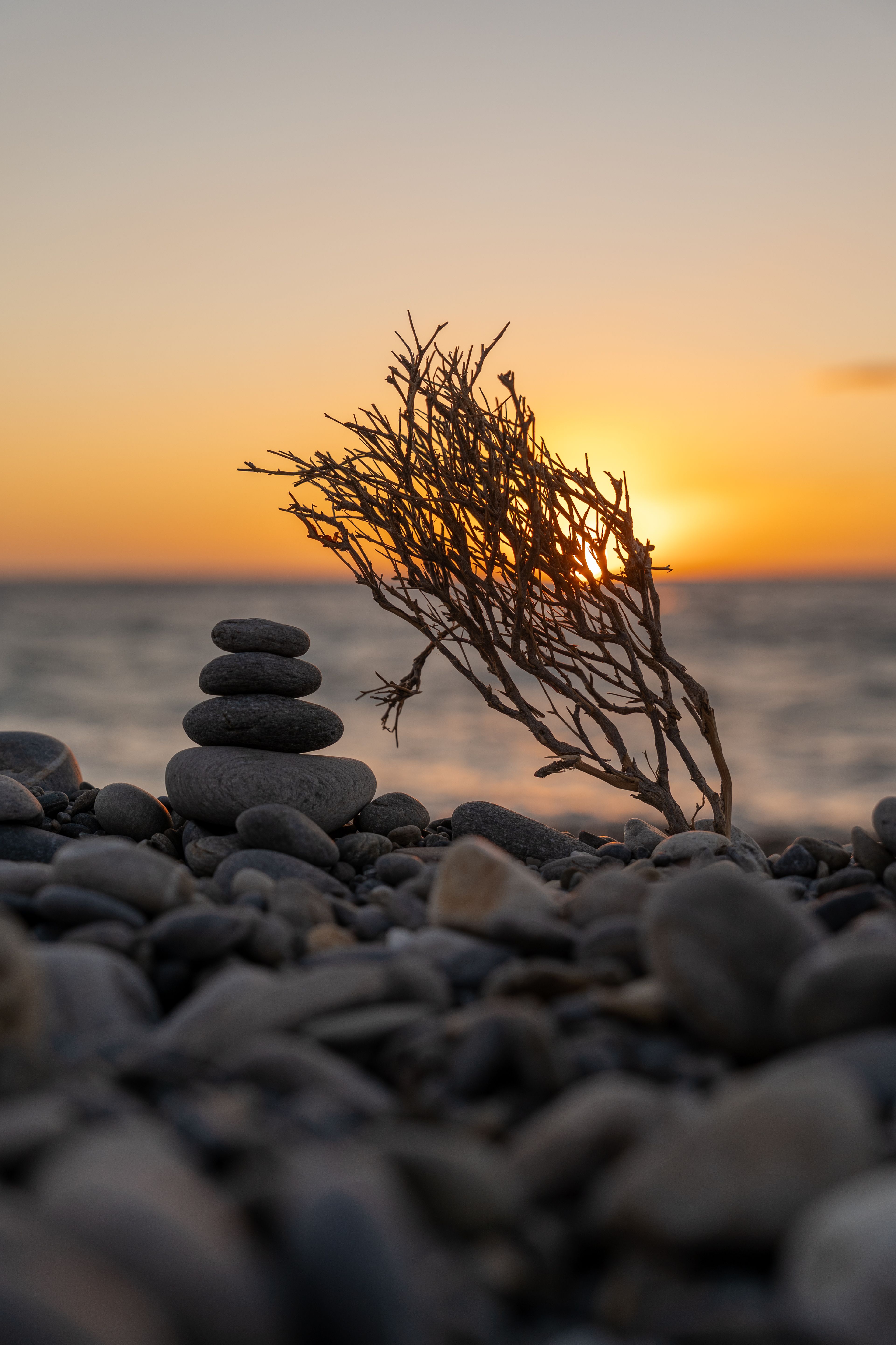 Serene Beach Sunset with Pebbles and Driftwood · Free Stock Photo
