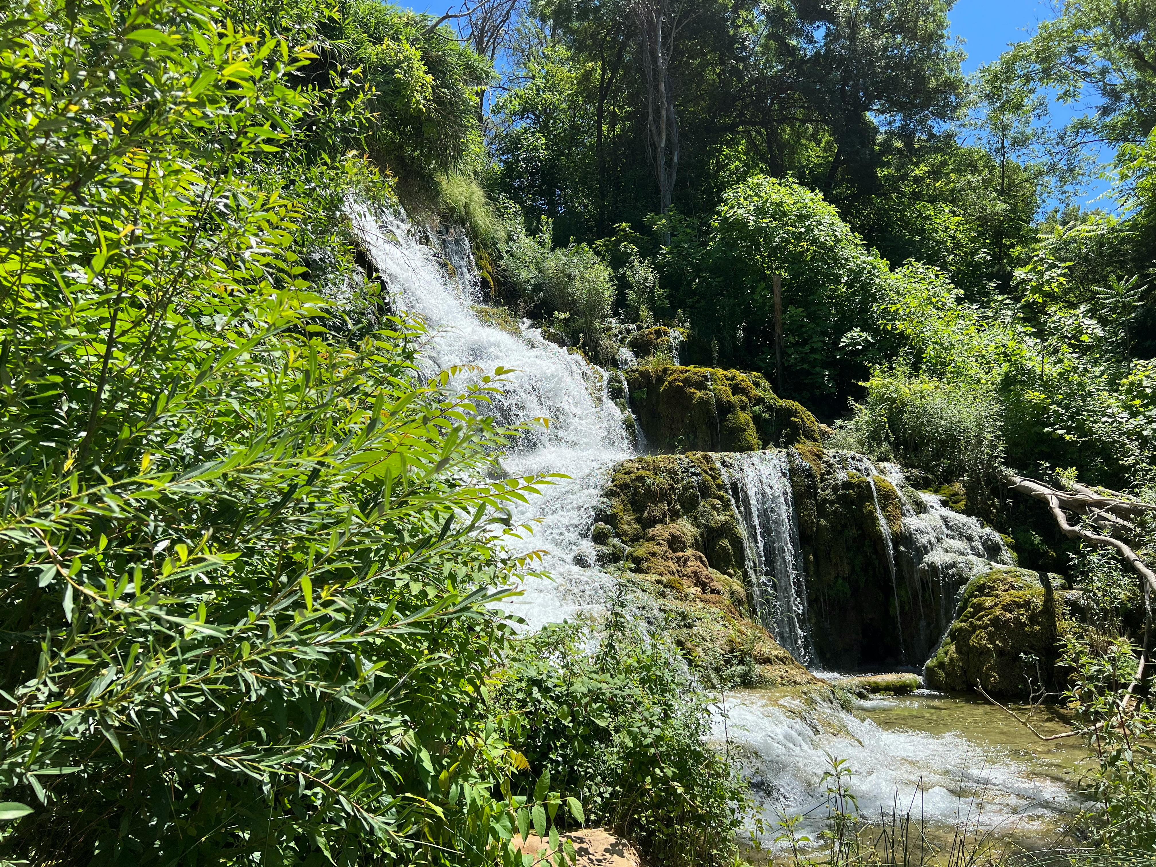 生活：策進會劍潭山步道健行淨山 與港澳朋友共享山林之美