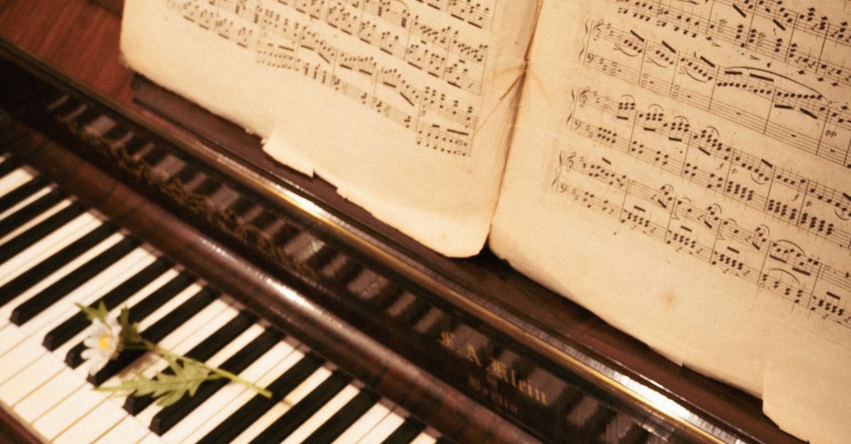 Los 10 instrumentos musicales más antiguos y la creatividad sonora en tiempos remotos Los 10 instrumentos musicales más antiguos y la creatividad sonora en tiempos remotos