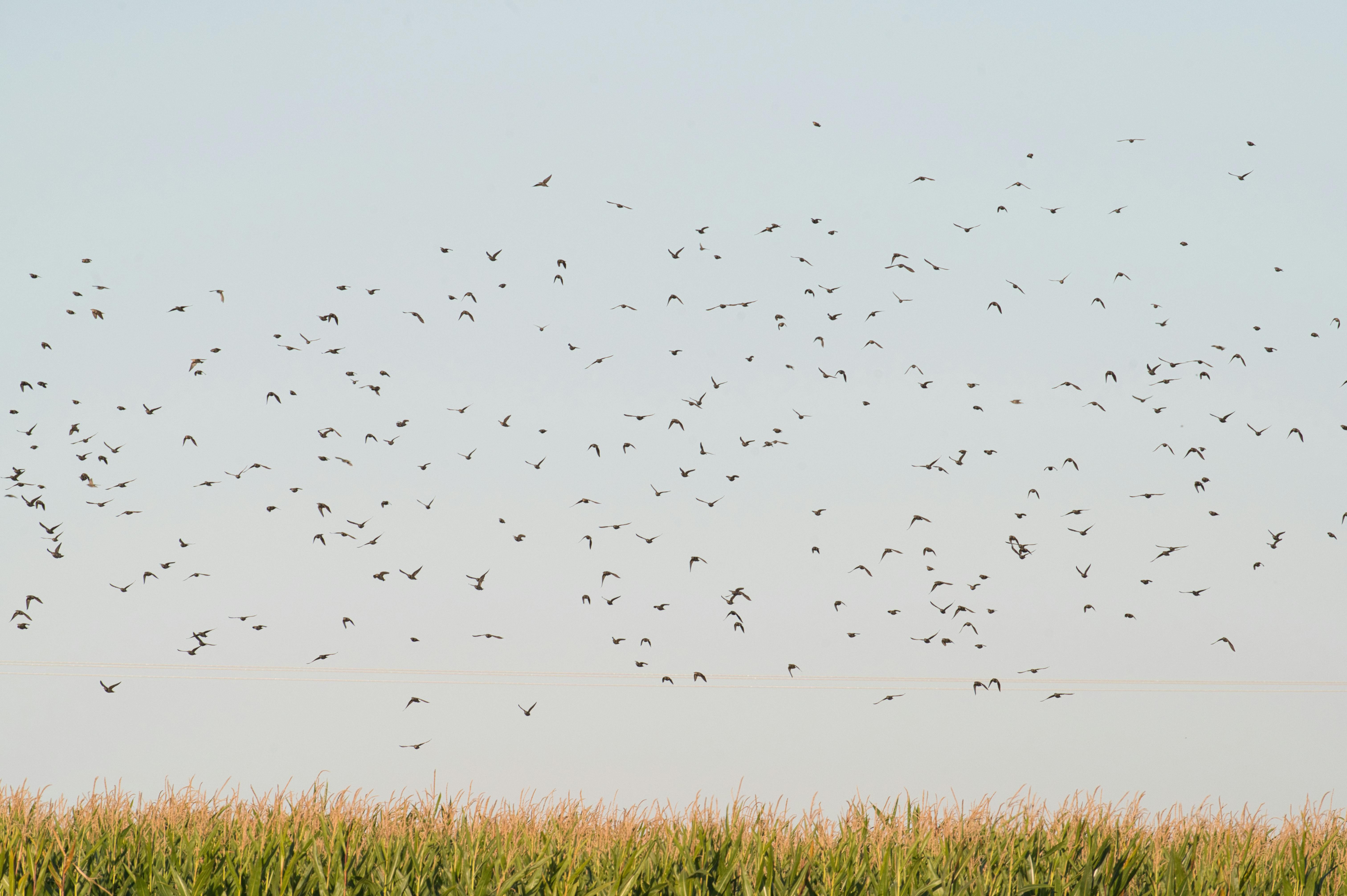 Ultimate Guides to Sustainable Tourism Experiences