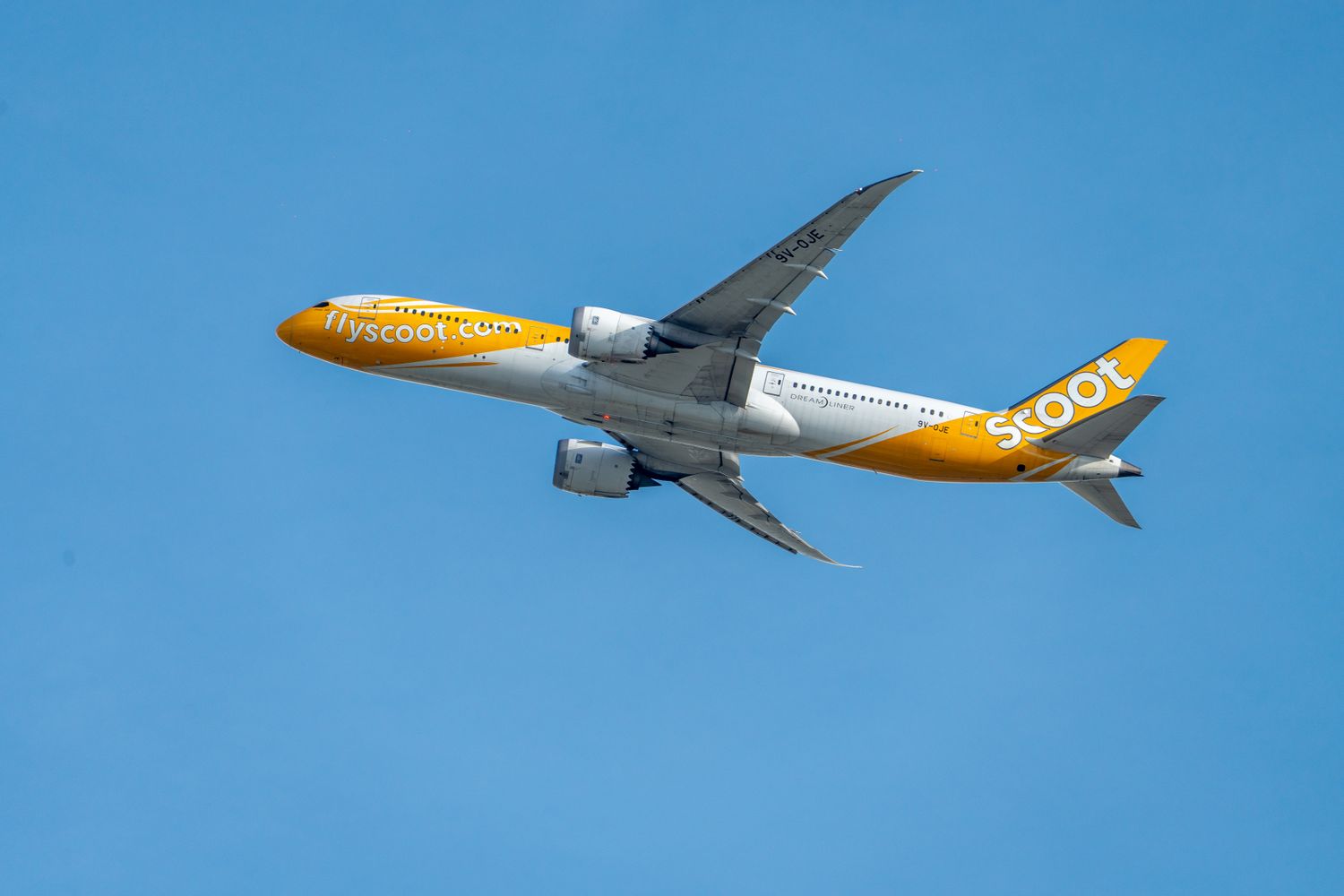 Flyscoot Photos, Download The BEST Free Flyscoot Stock Photos & HD Images