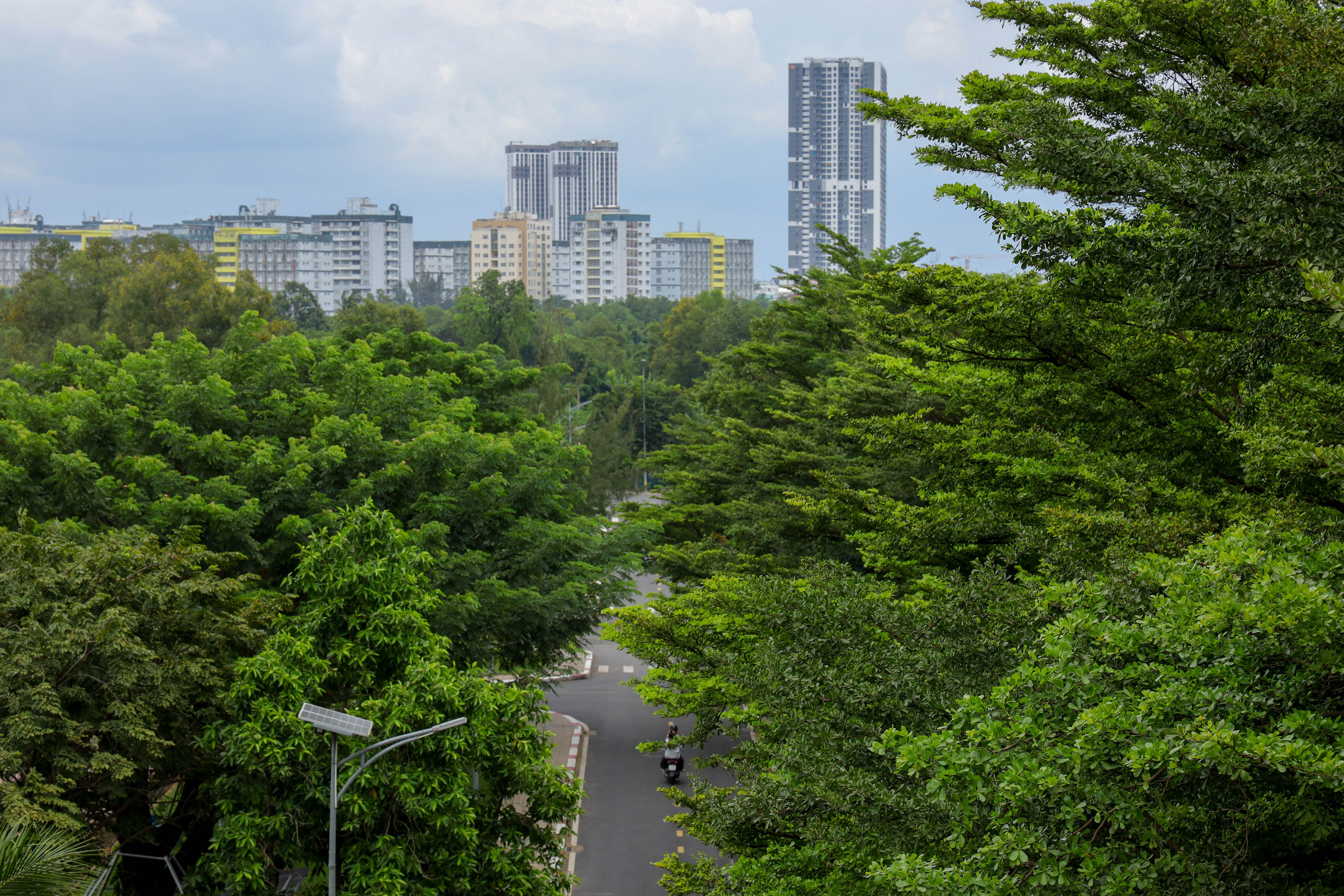 View of an urban skyline with lush green trees and a winding road — modafinil vs provigil