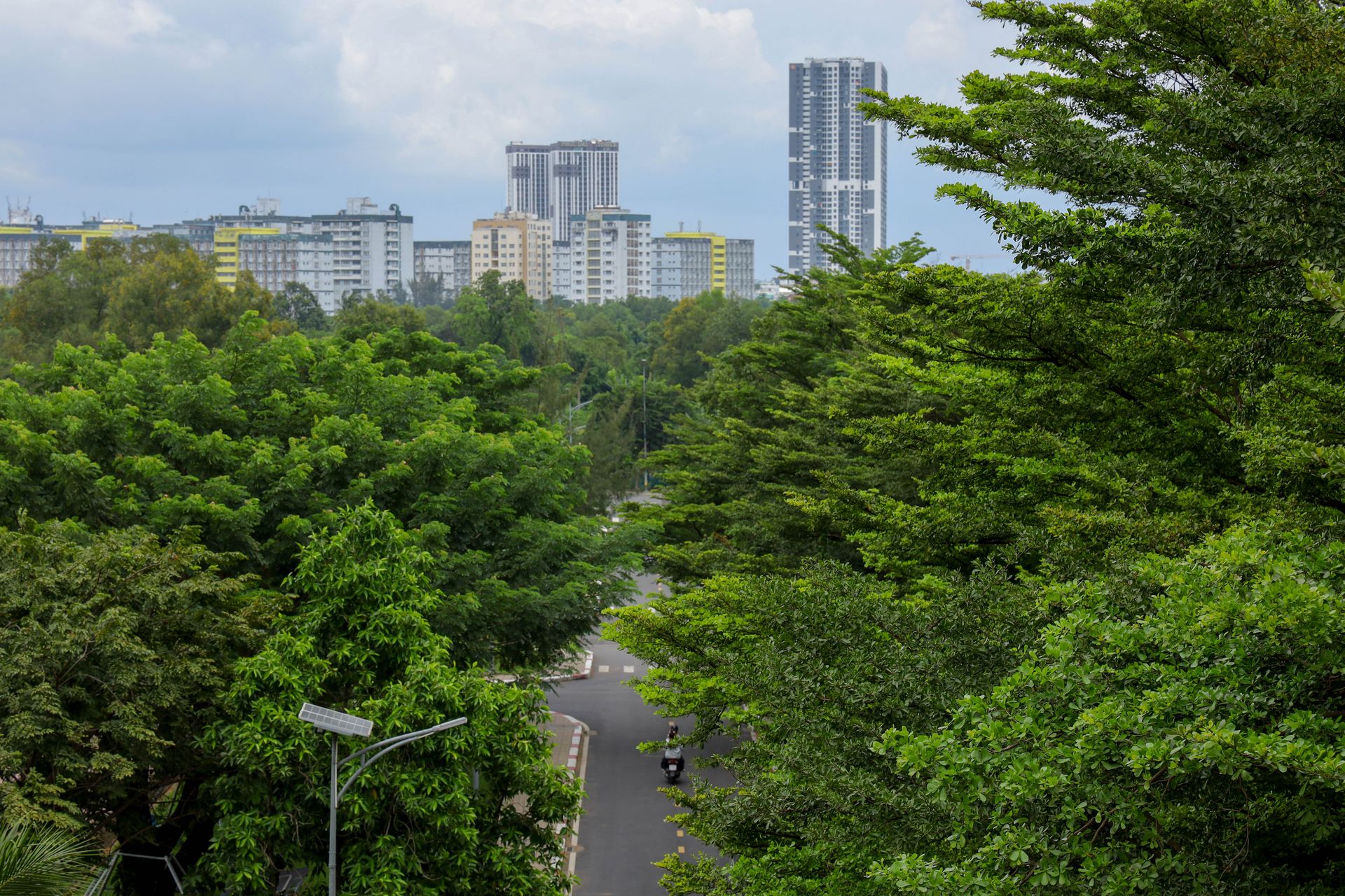 View of an urban skyline with lush green trees and a winding road.