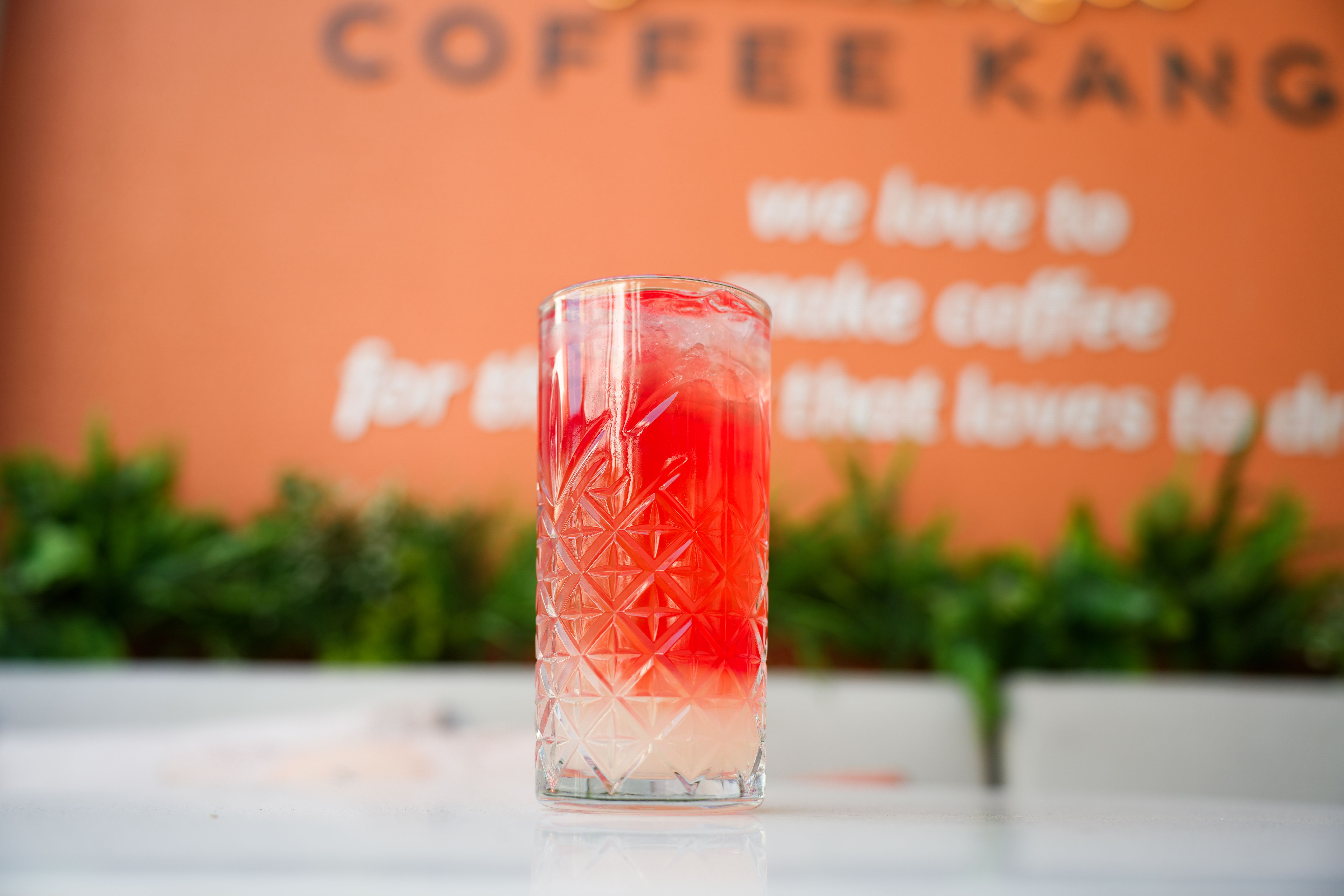 Refreshing Red and White Cocktail in Ornate Glass · Free Stock Photo