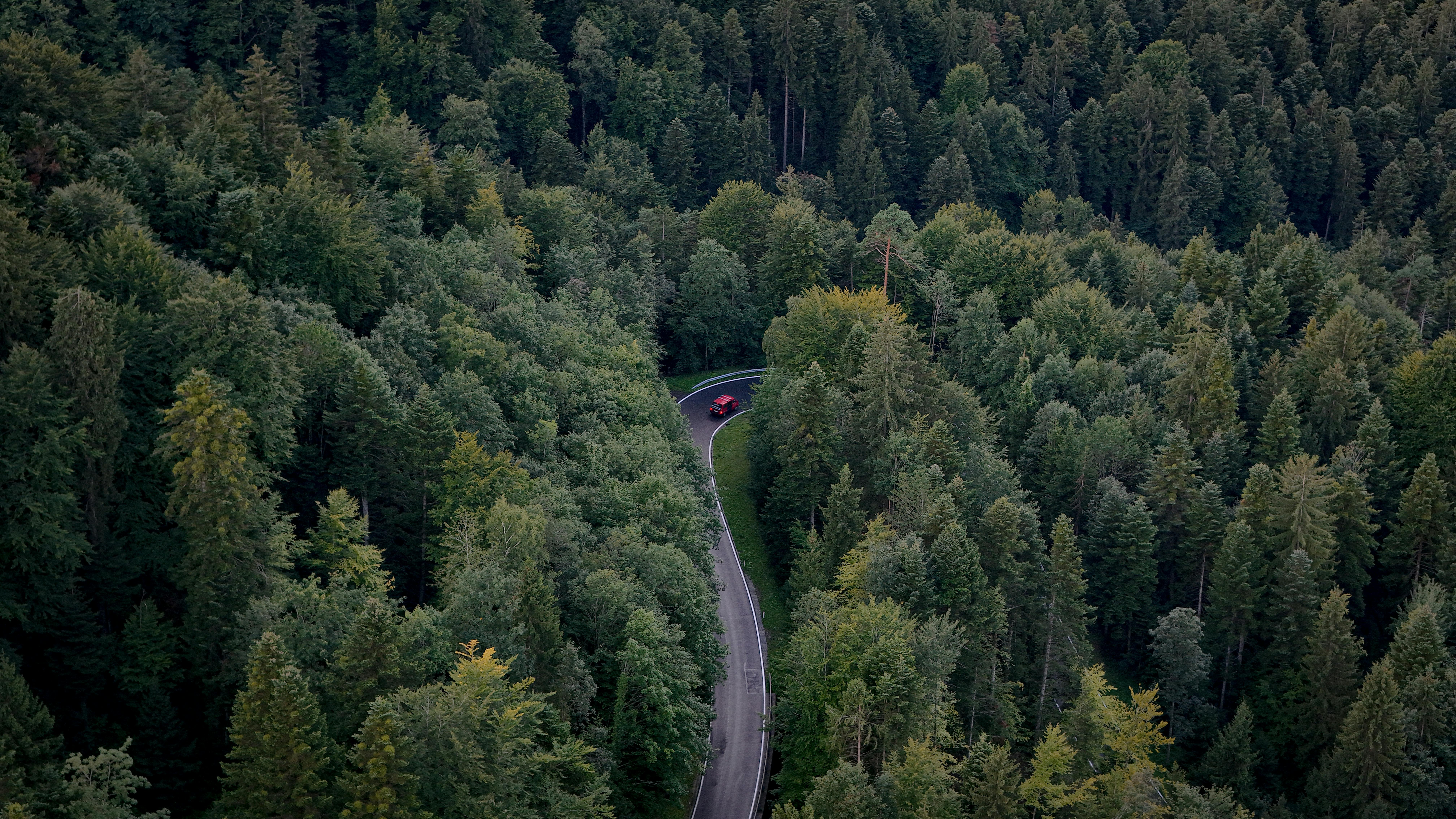 evs explained sustainability — Photo by Stan Versluis on Pexels