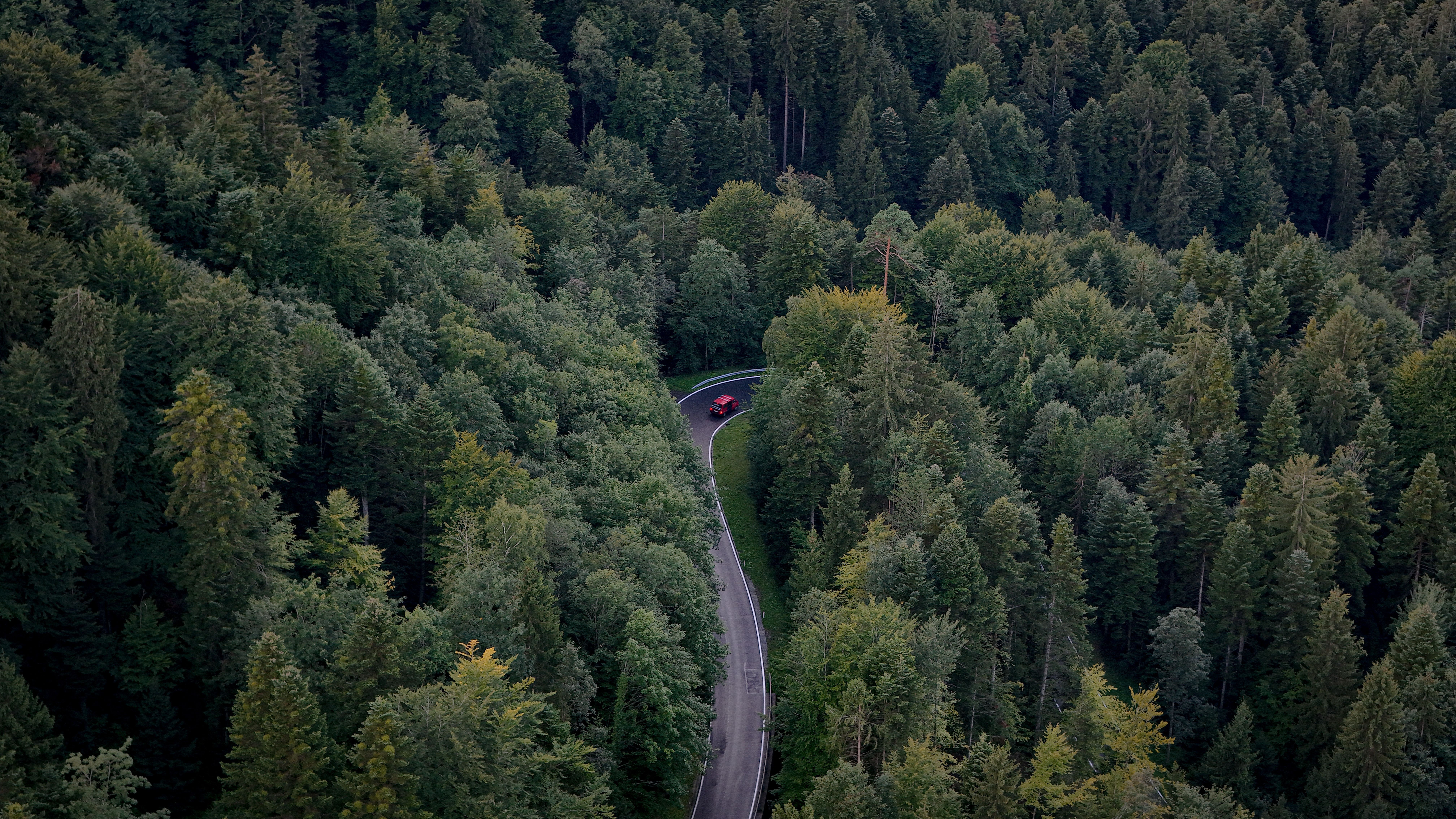 Aerial View of Curved Forest Road with Red Car · Free Stock Photo